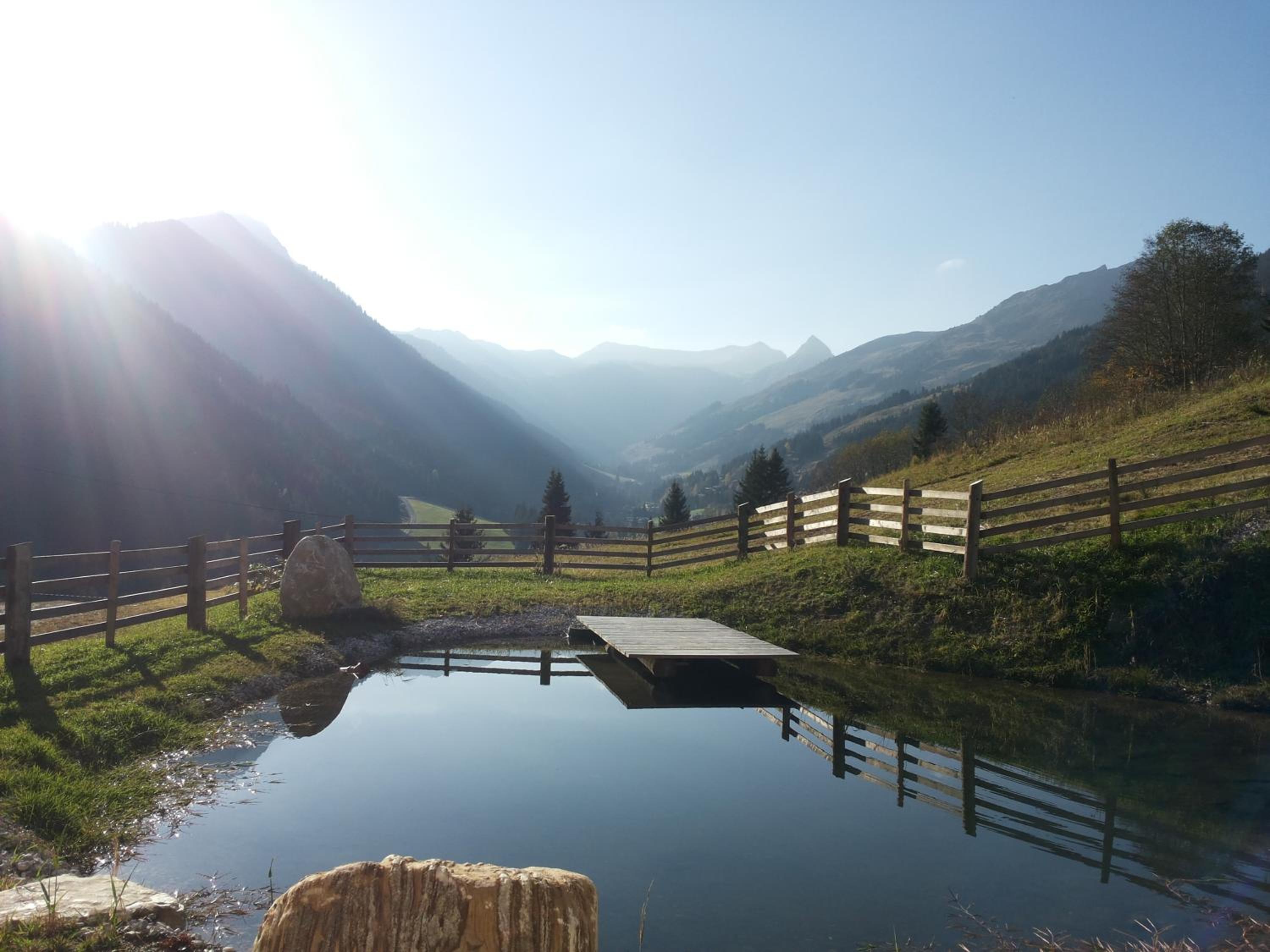 Alpenbauernhaus Vorderbrandthof