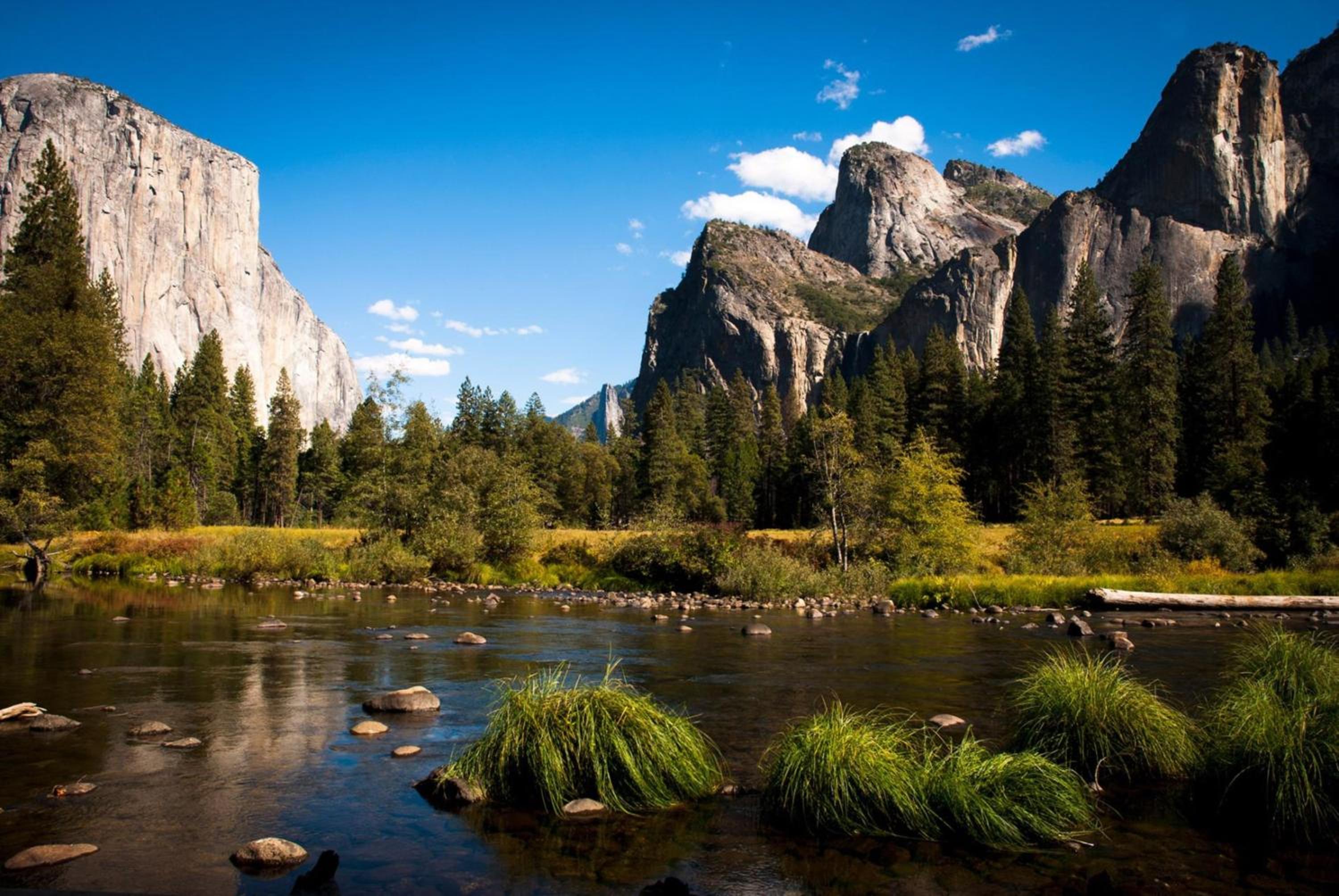 Holiday Inn Express  Suites Yosemite Park Area, an IHG Hotel - Property Image 9