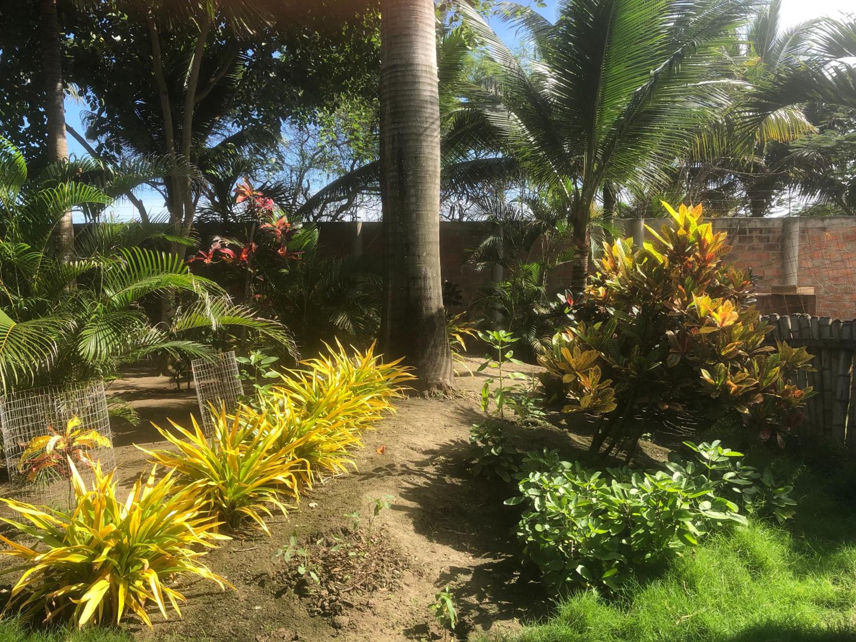 Photo 16