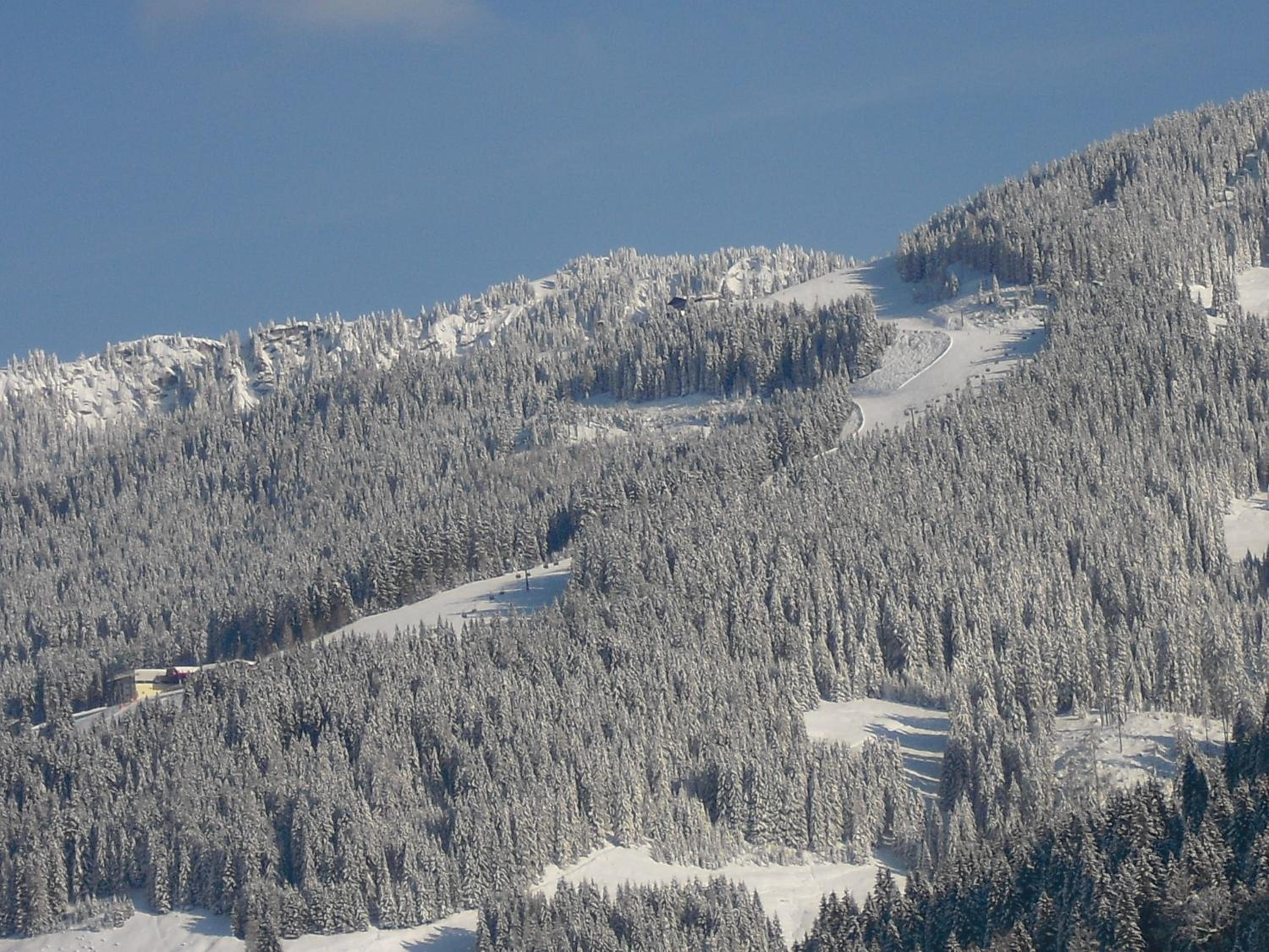 Haus Viehhauser