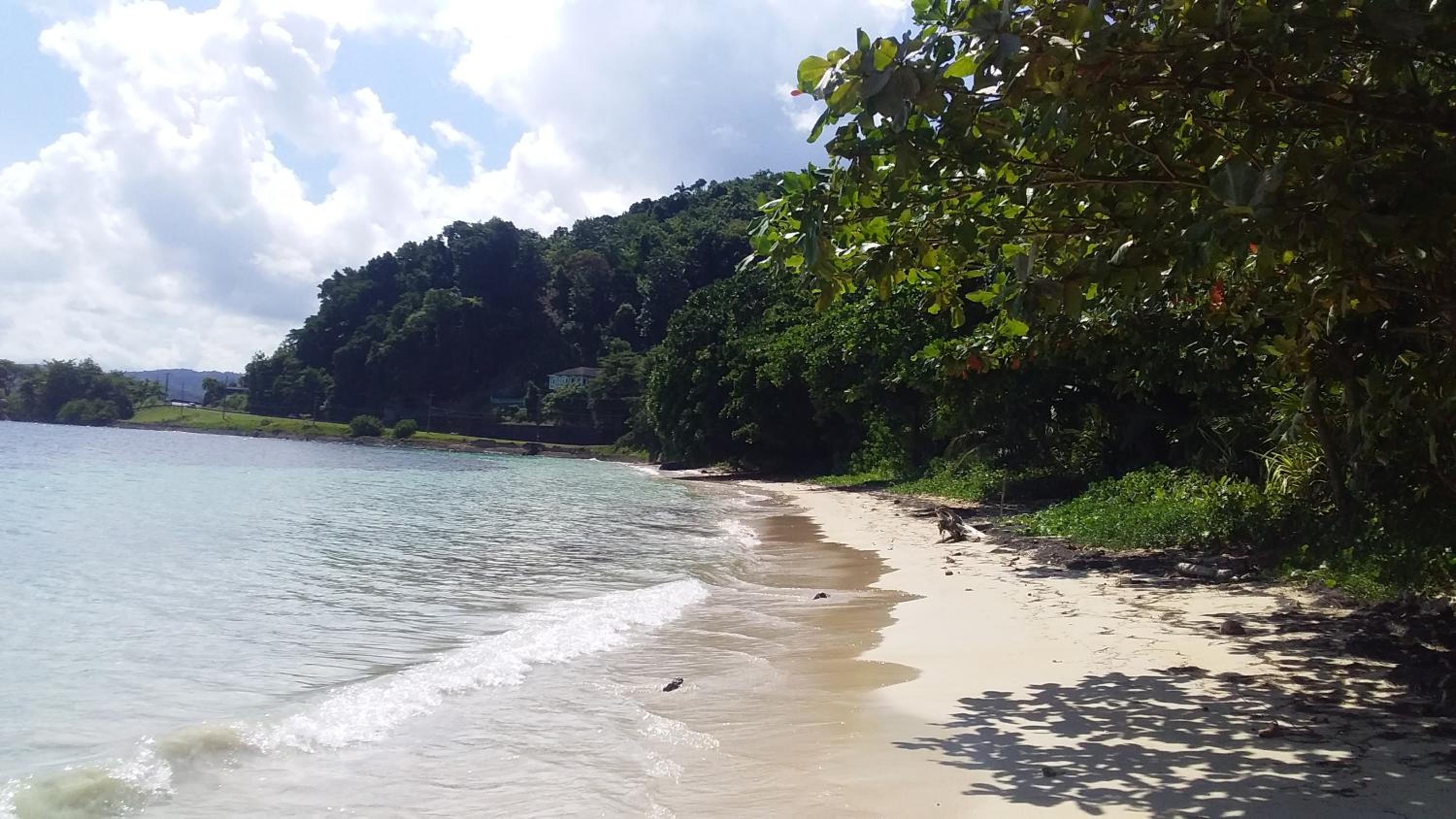 Port Antonio Brian's Beach House