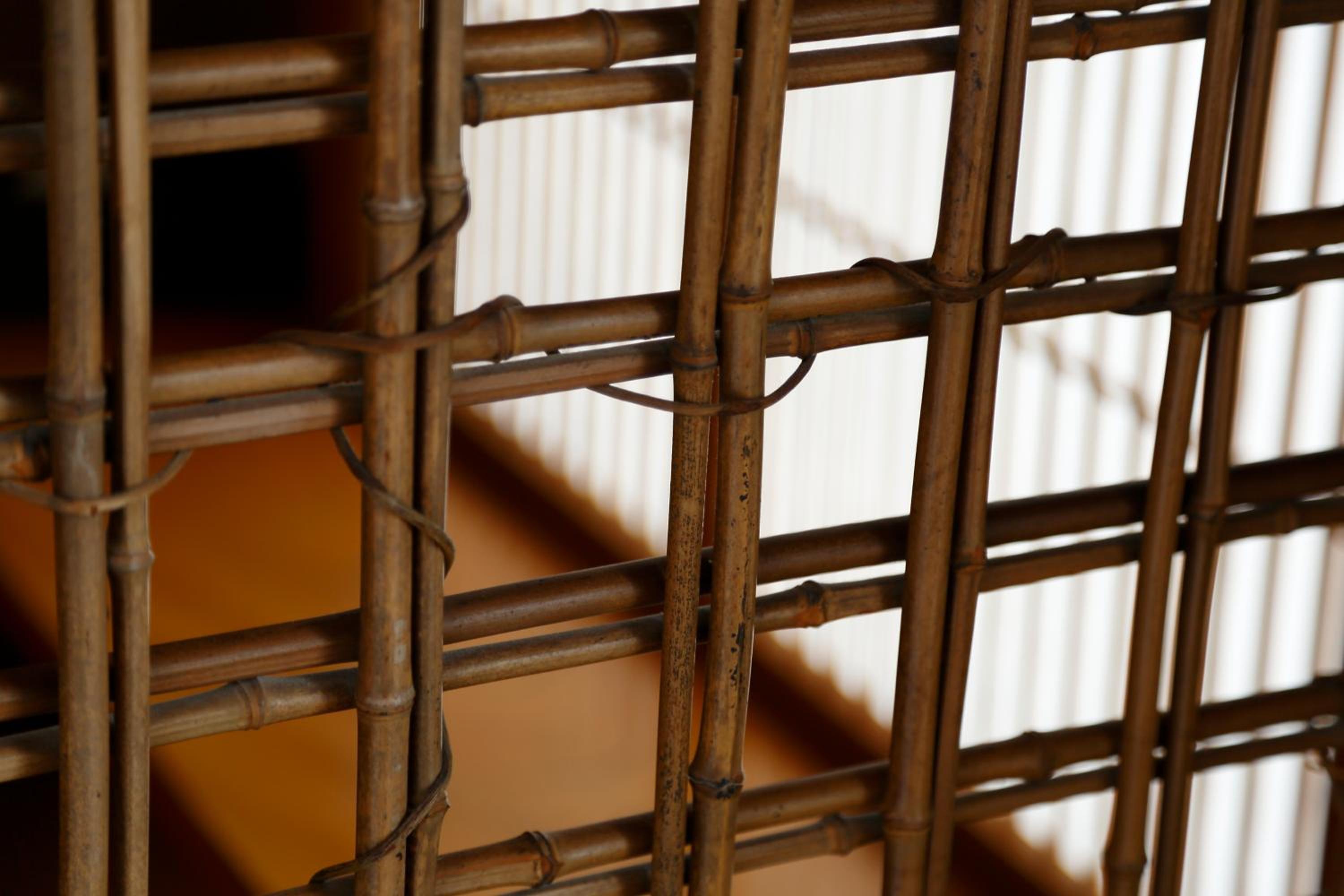 Kyotoya, photo 77