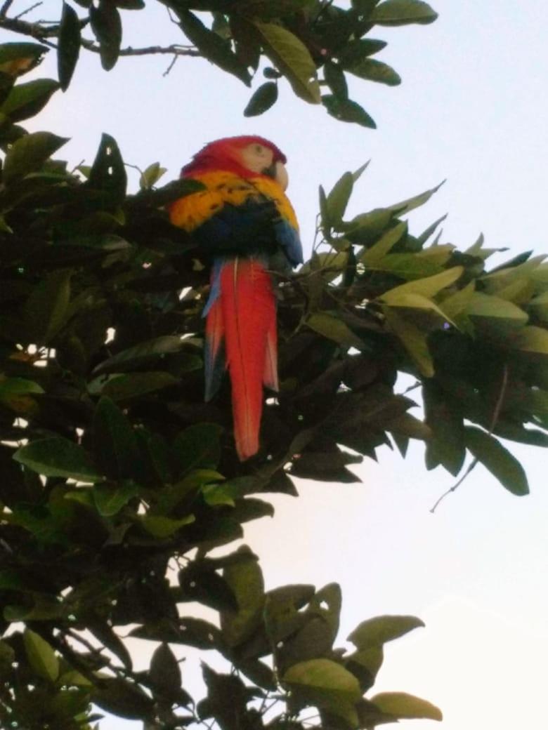 Iguanitas Lodge