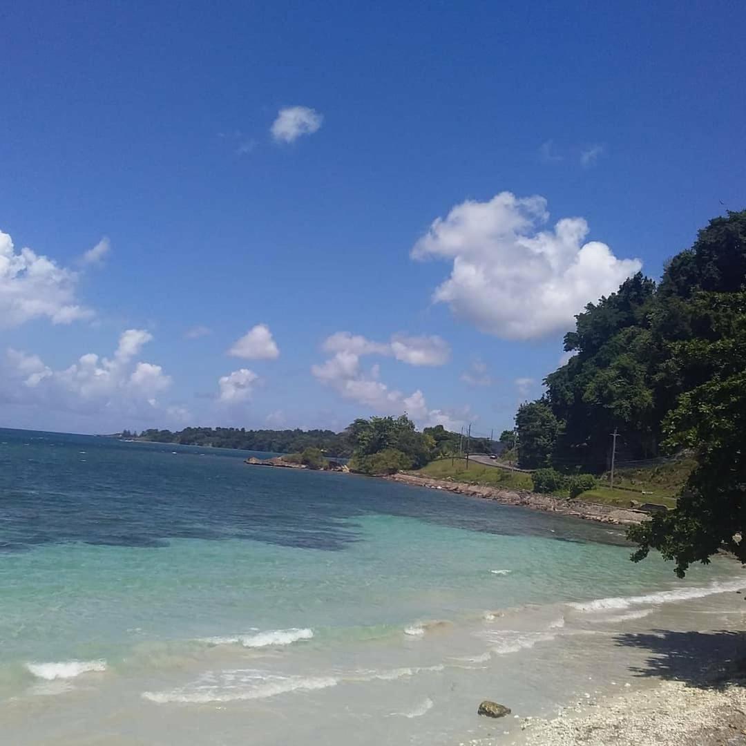 Port Antonio Brian's Beach House