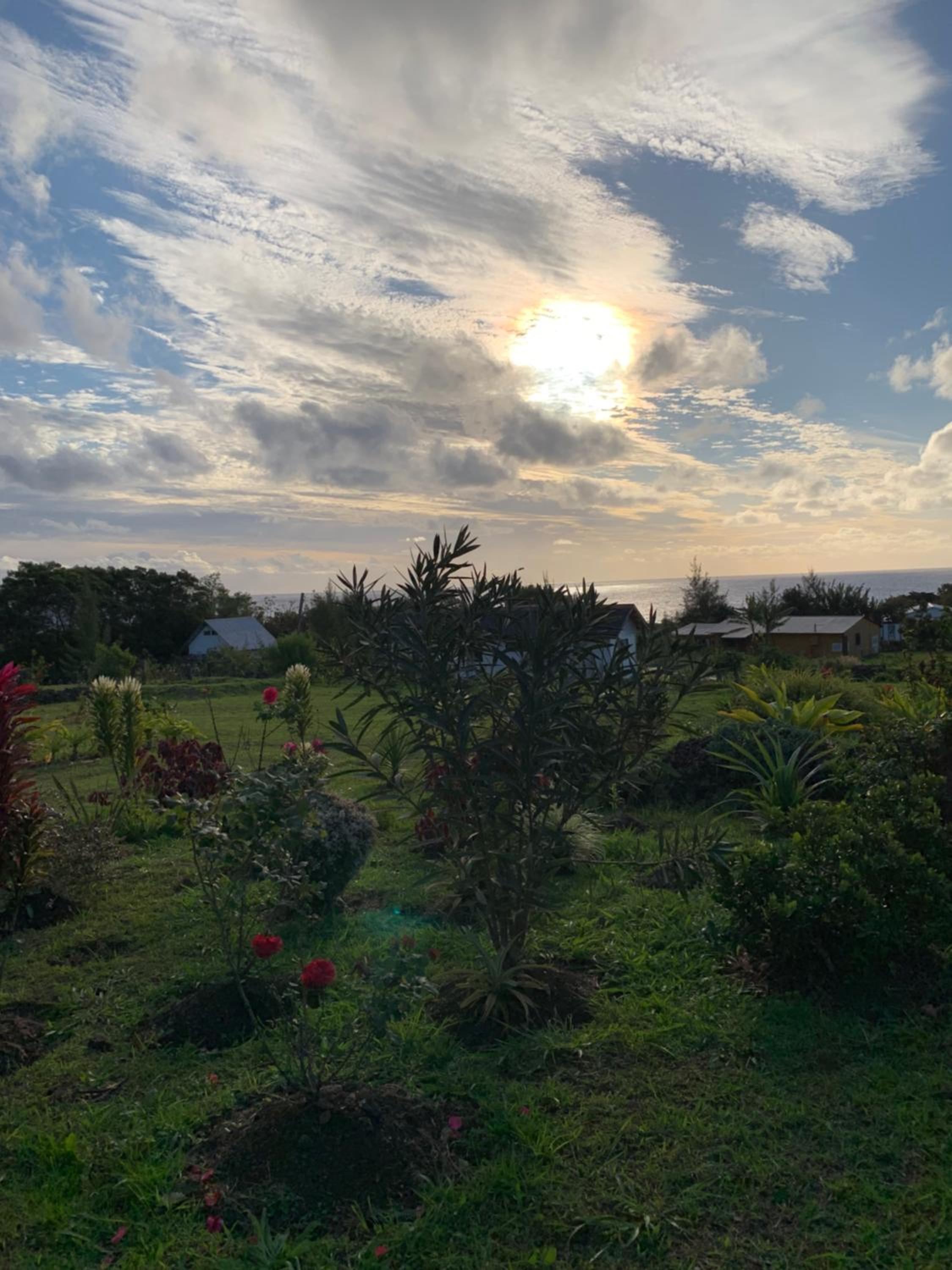 Teanehi Bed & Breakfast