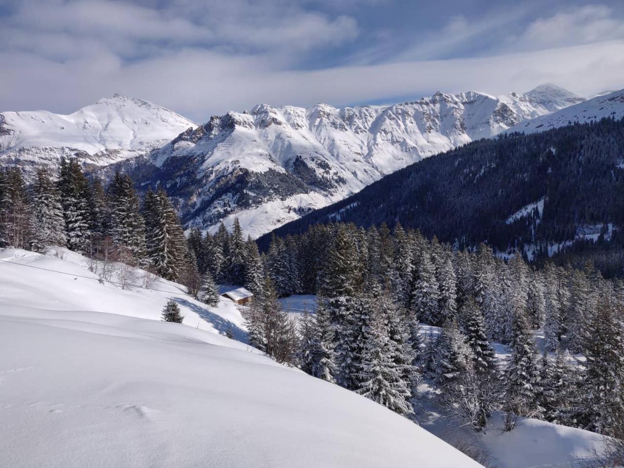 Z Studio - next door to Vals Therme