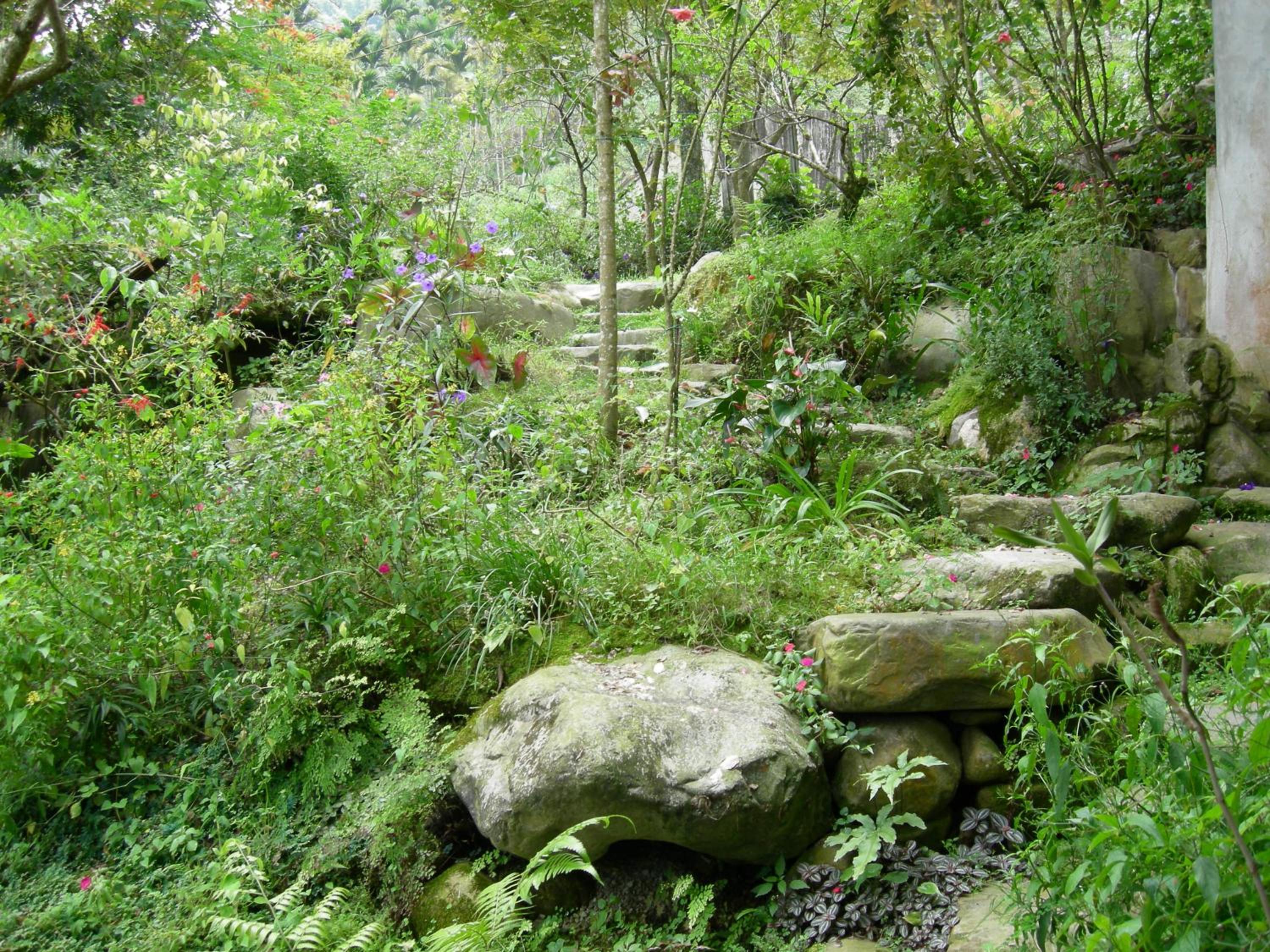 Photo 13