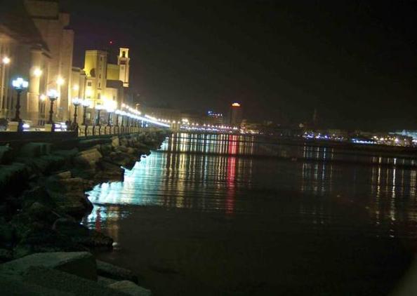 Photo 49