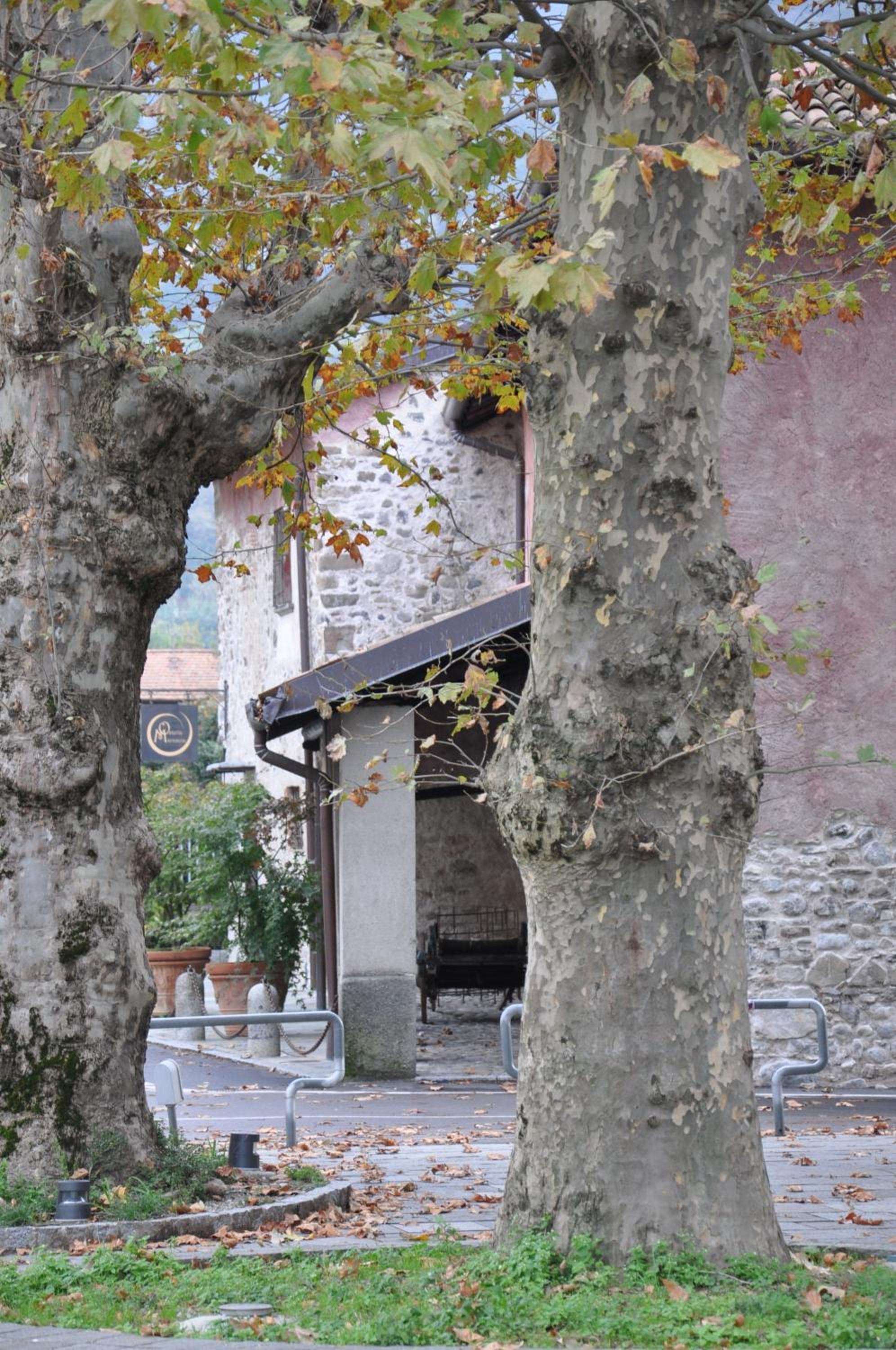 Locanda Osteria Marascia