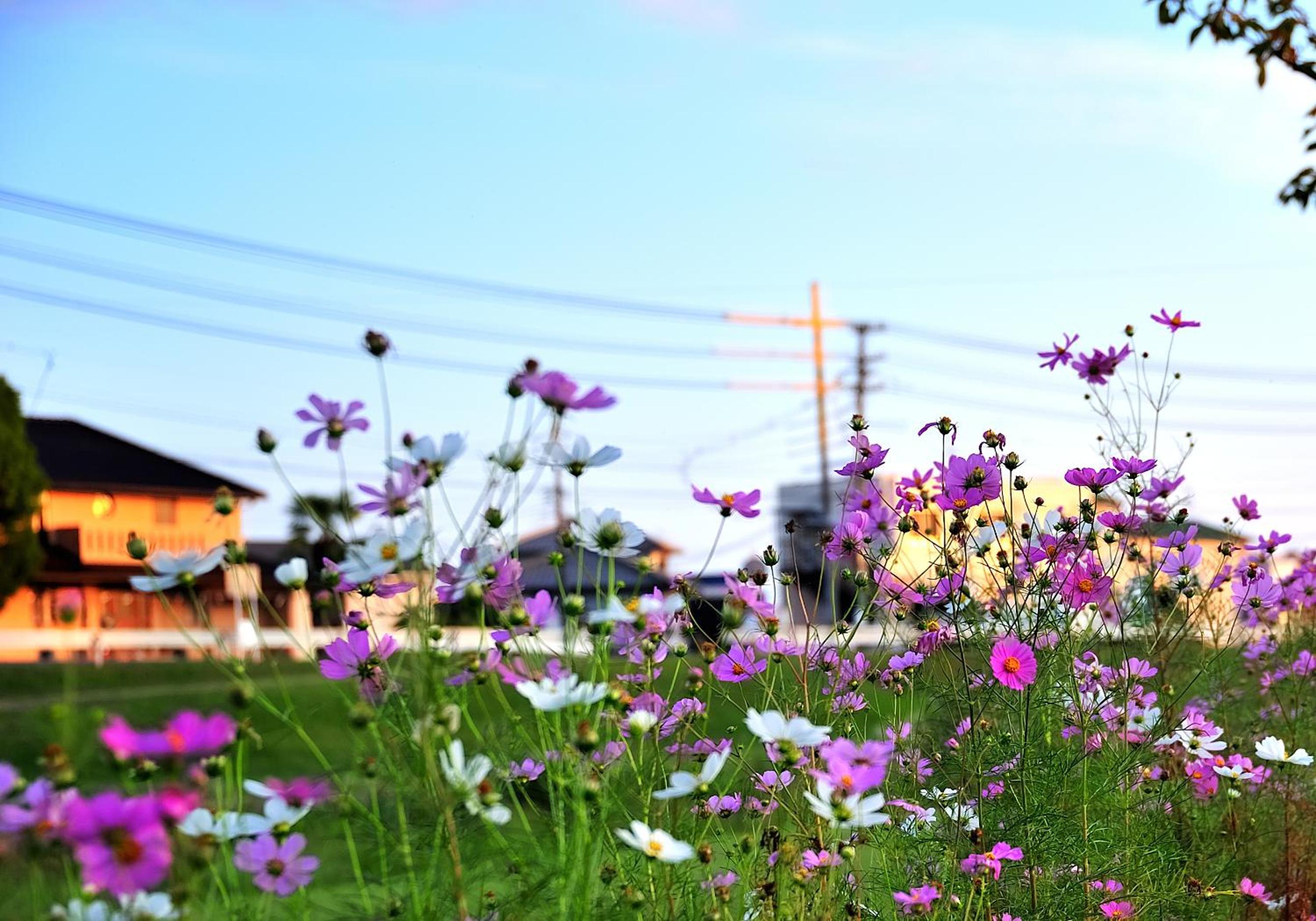 kusunoki for women-only guesthouse