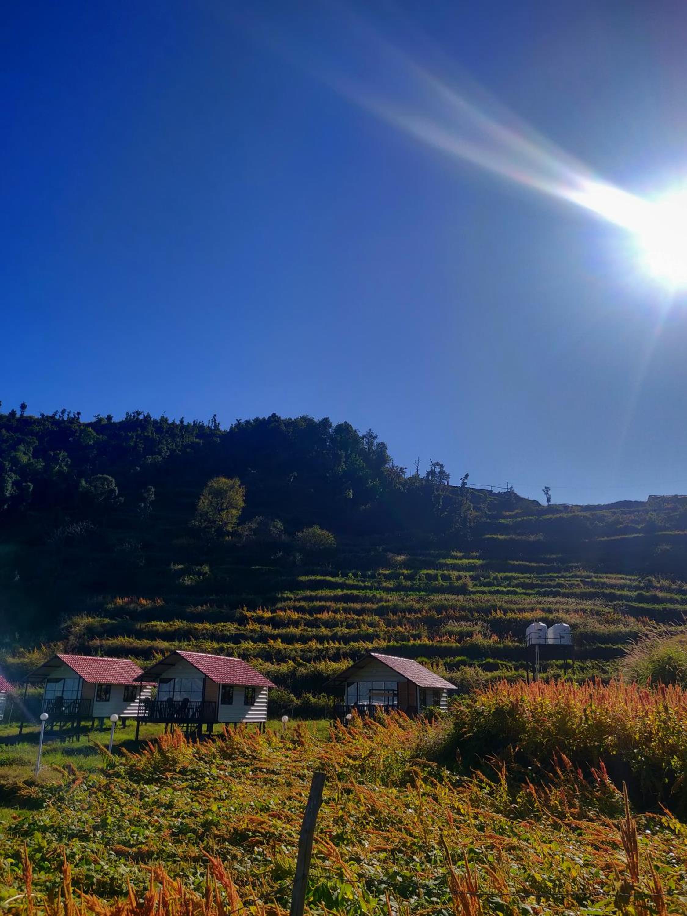 The Hillside Cottages view 4
