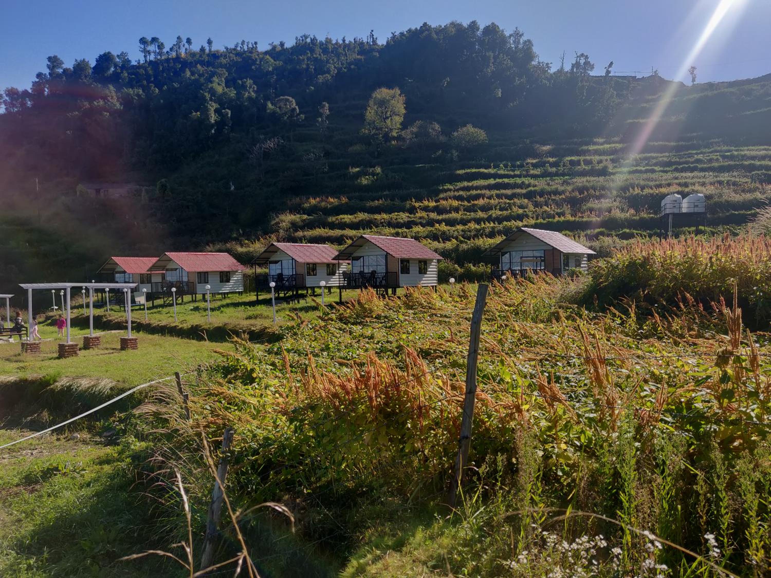 The Hillside Cottages view 5