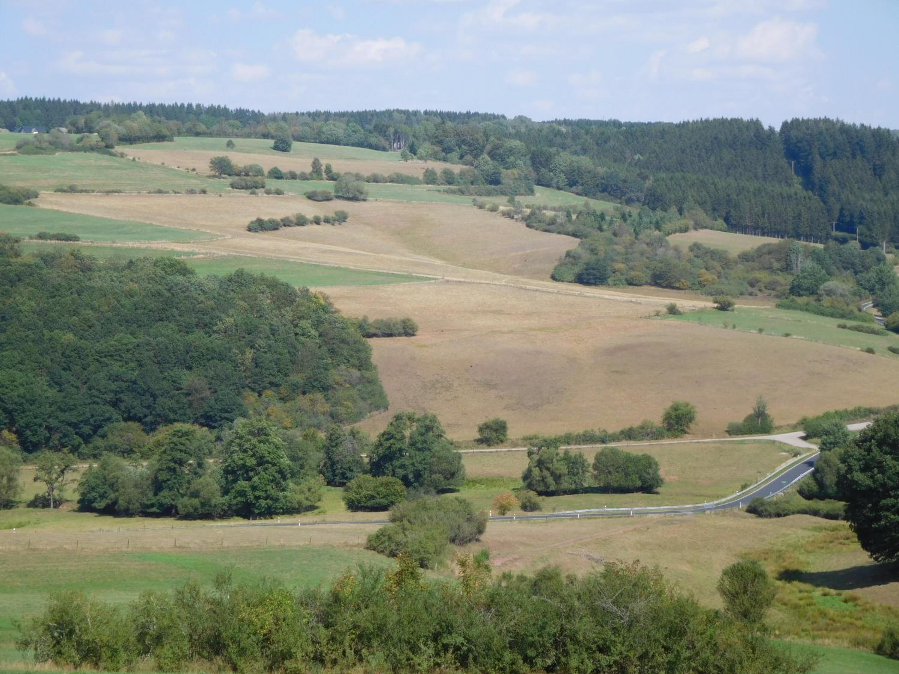 Photo 42