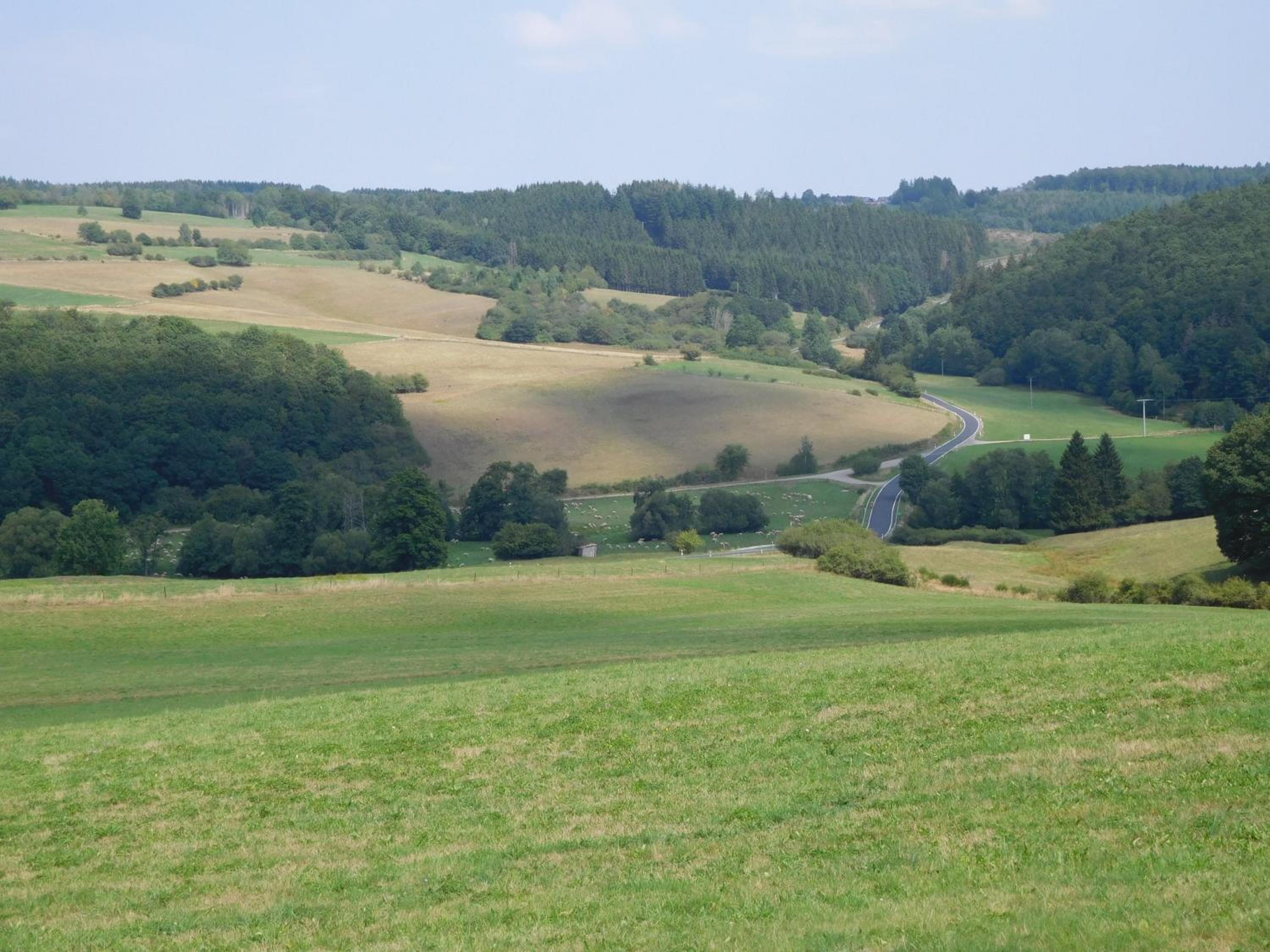 Photo 43
