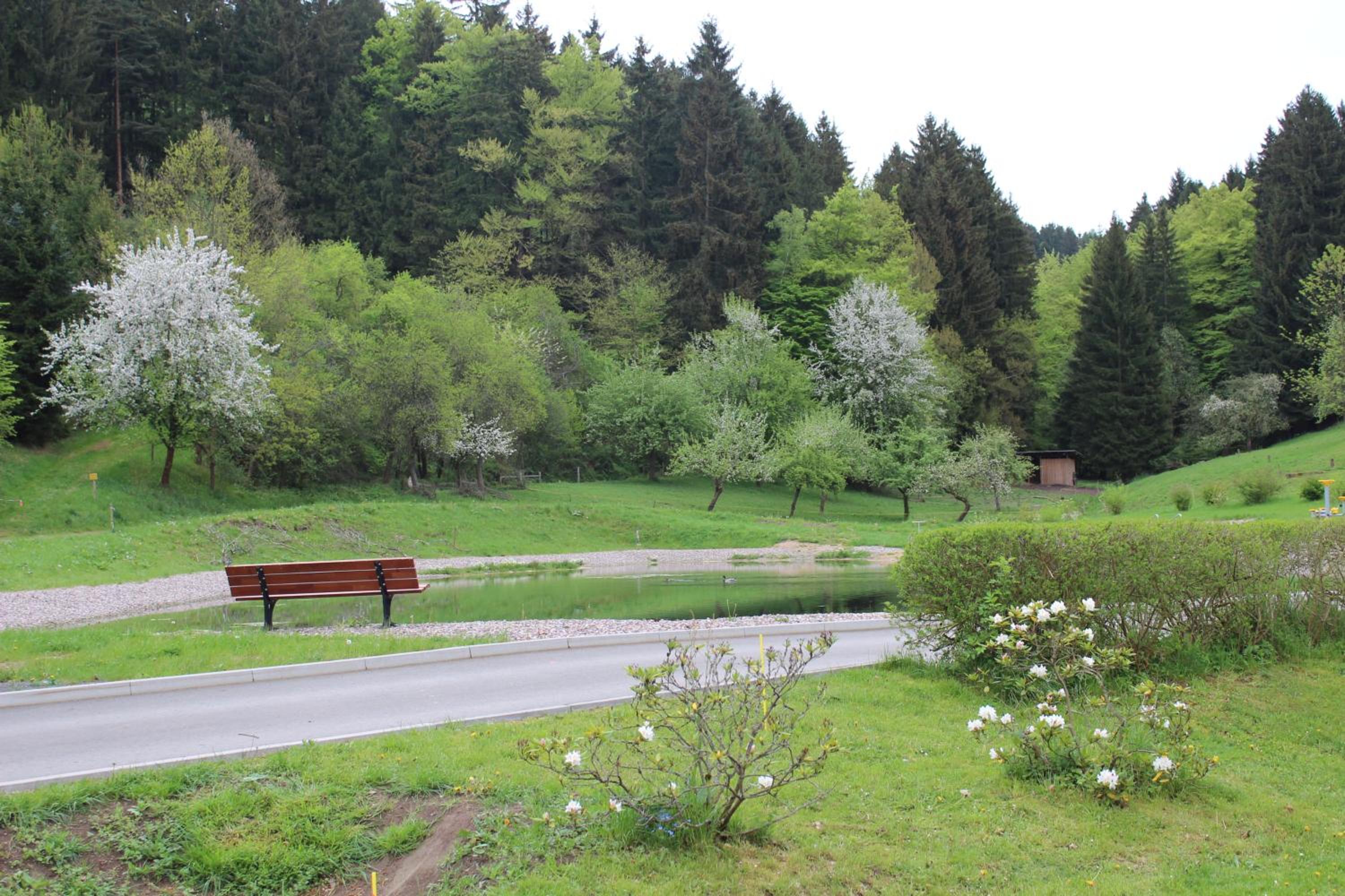 Ferienwohnung Nüssleshof view 2