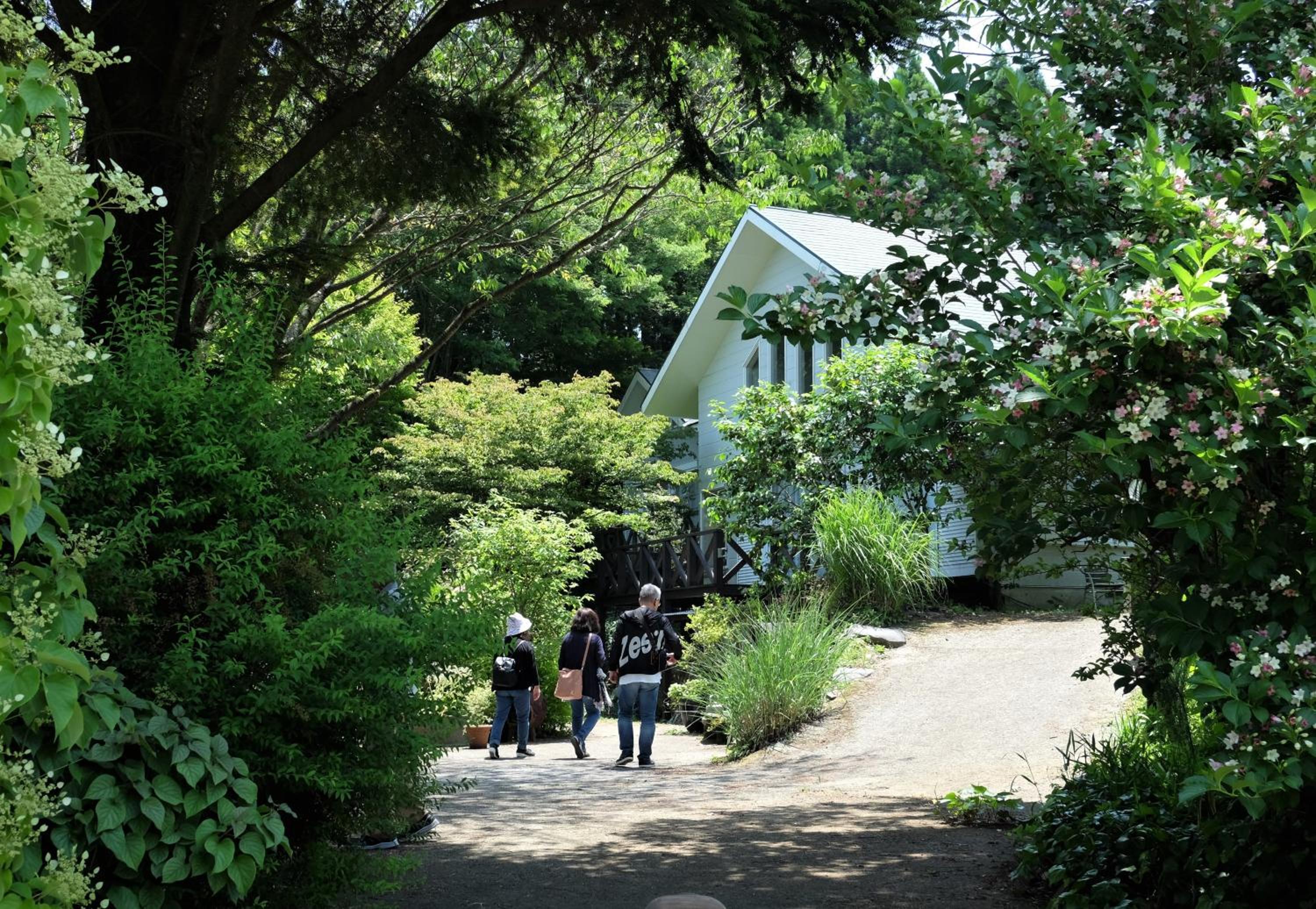 Photo 13
