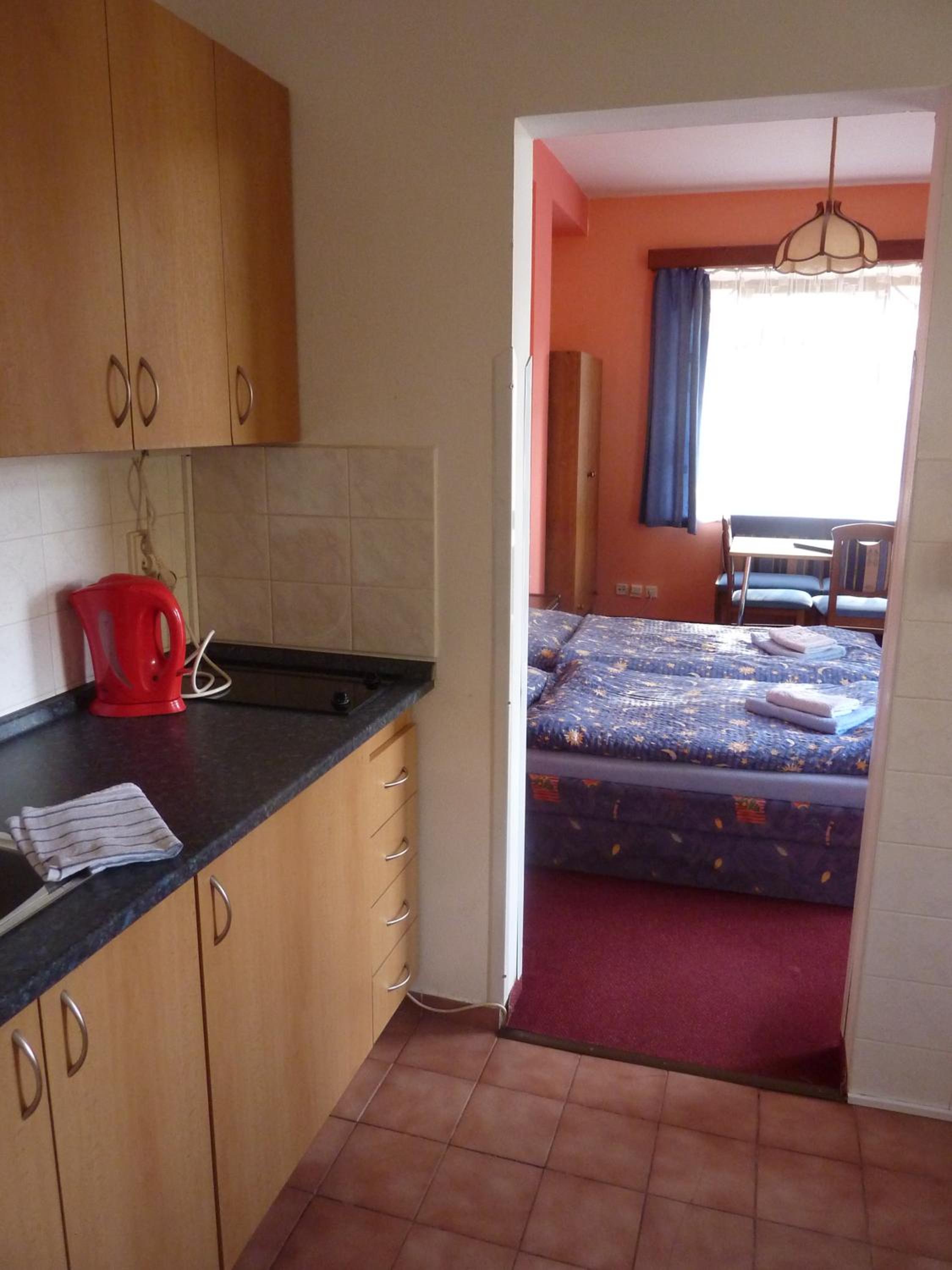 Apartmán Borůvka