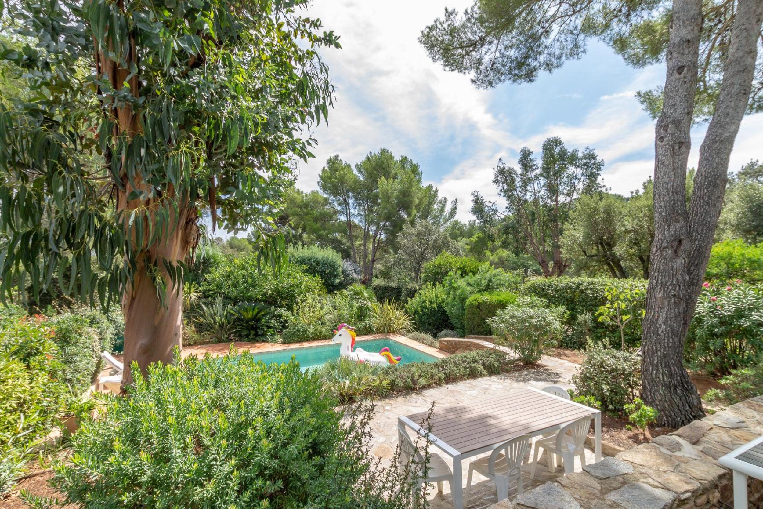 Les Eucalyptus, photo 14