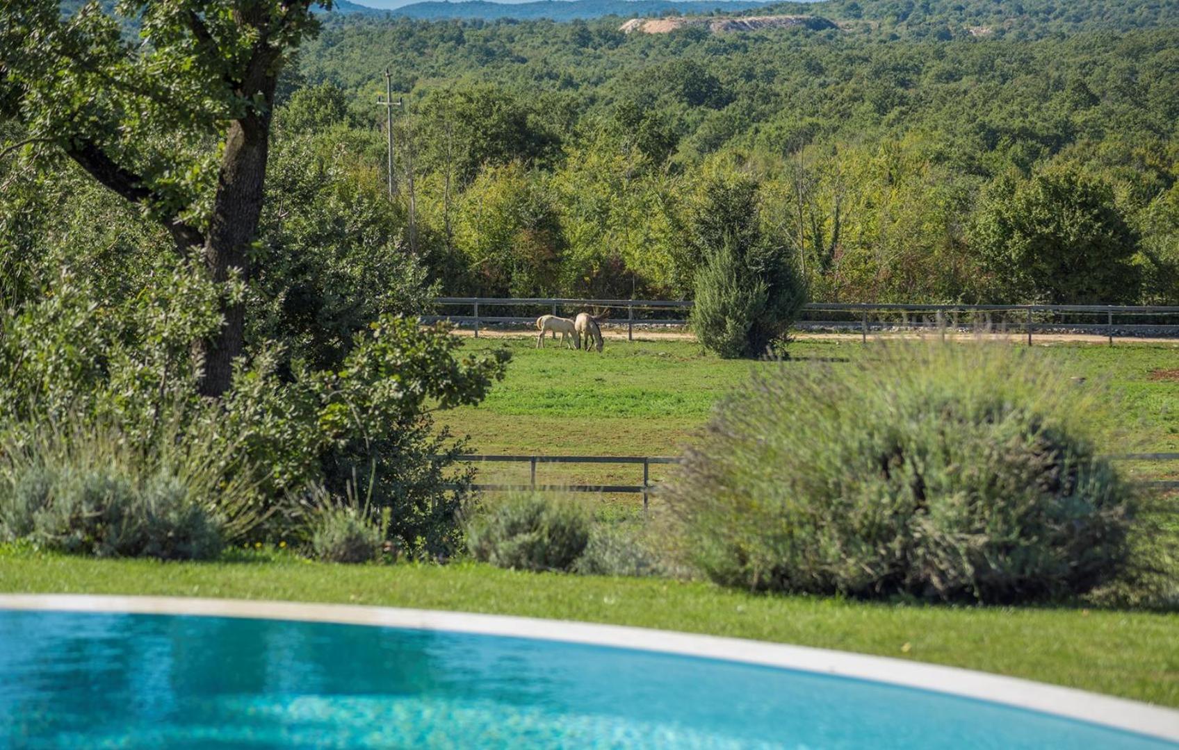 Villa zu den Drei Eichen-Barat view 2