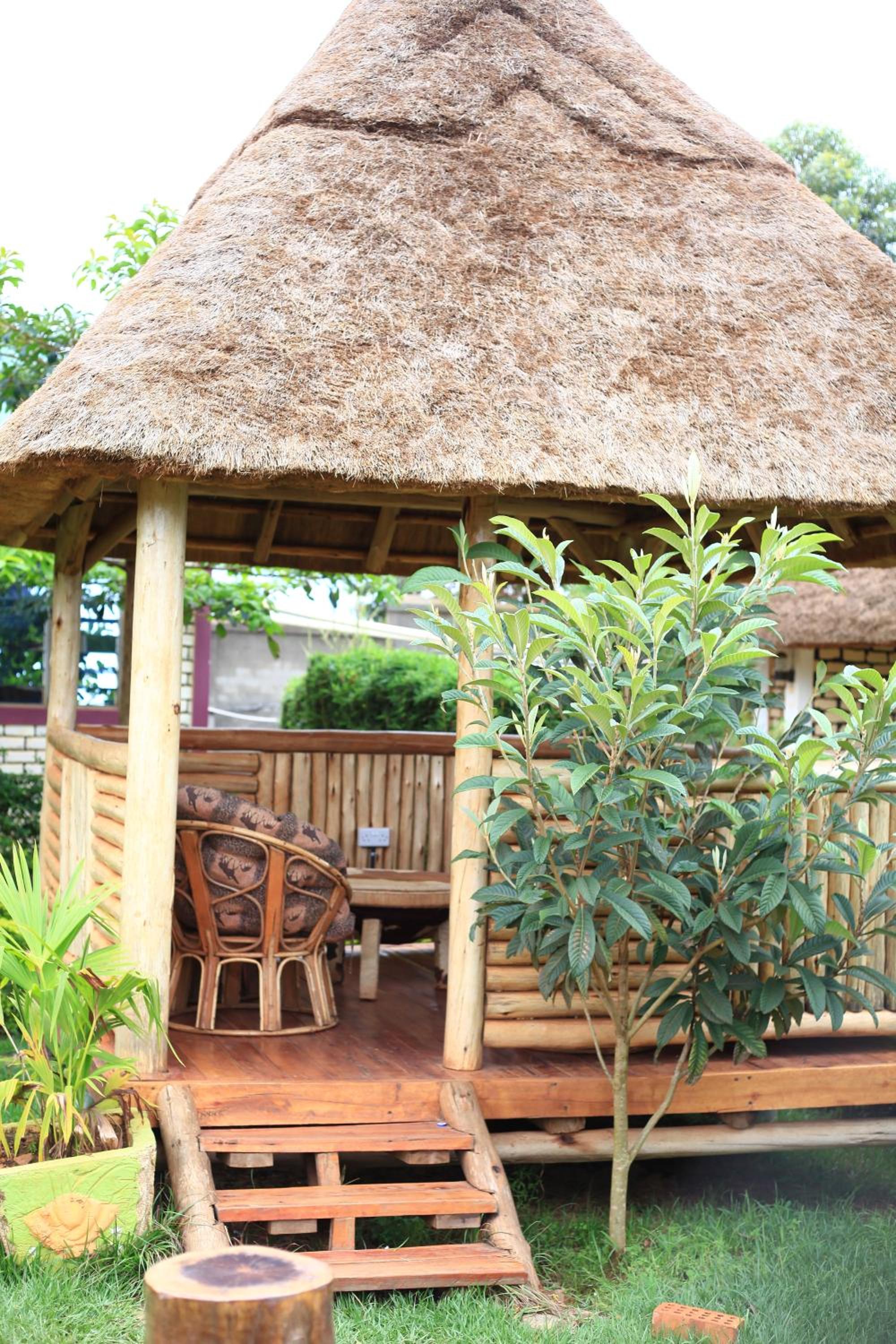 Elite Backpackers Services