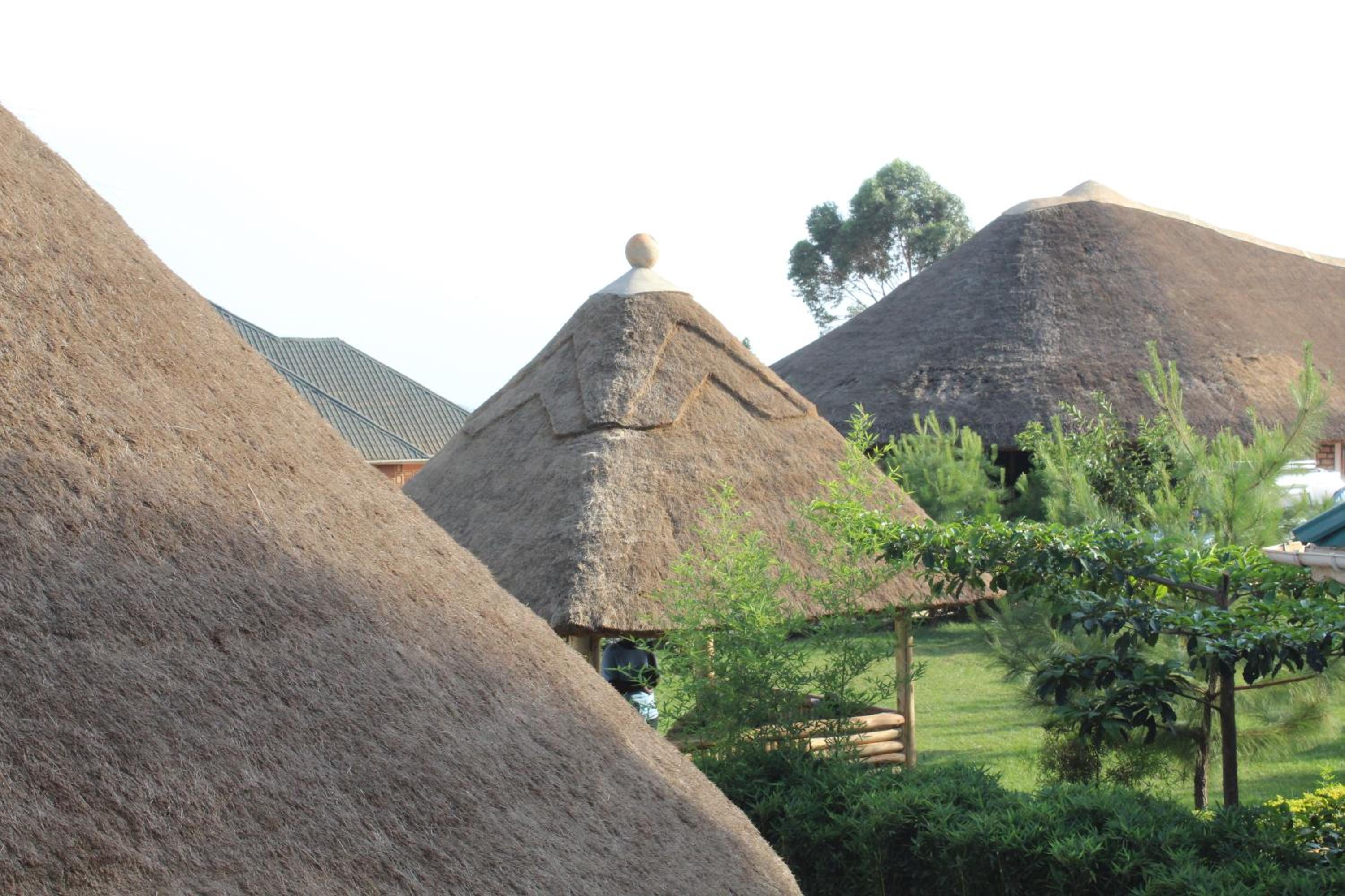 Elite Backpackers Services