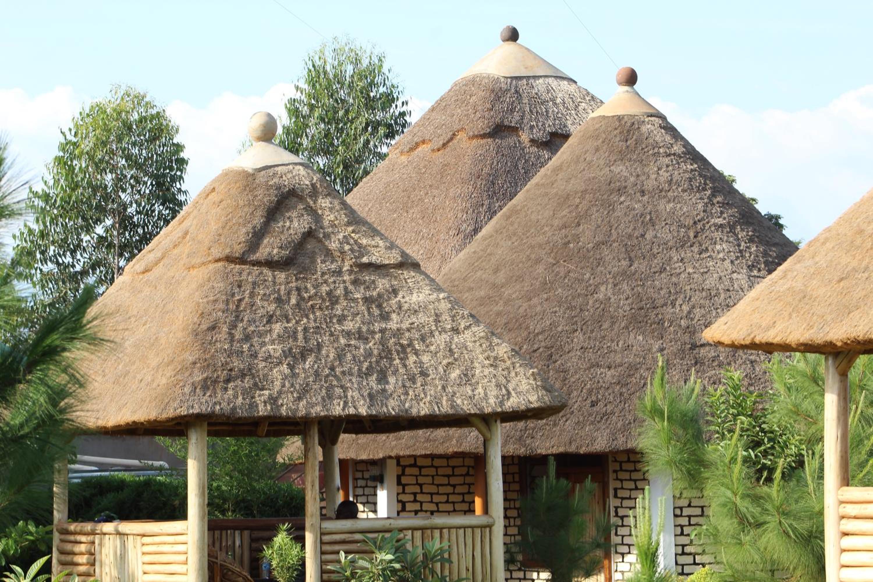 Elite Backpackers Services
