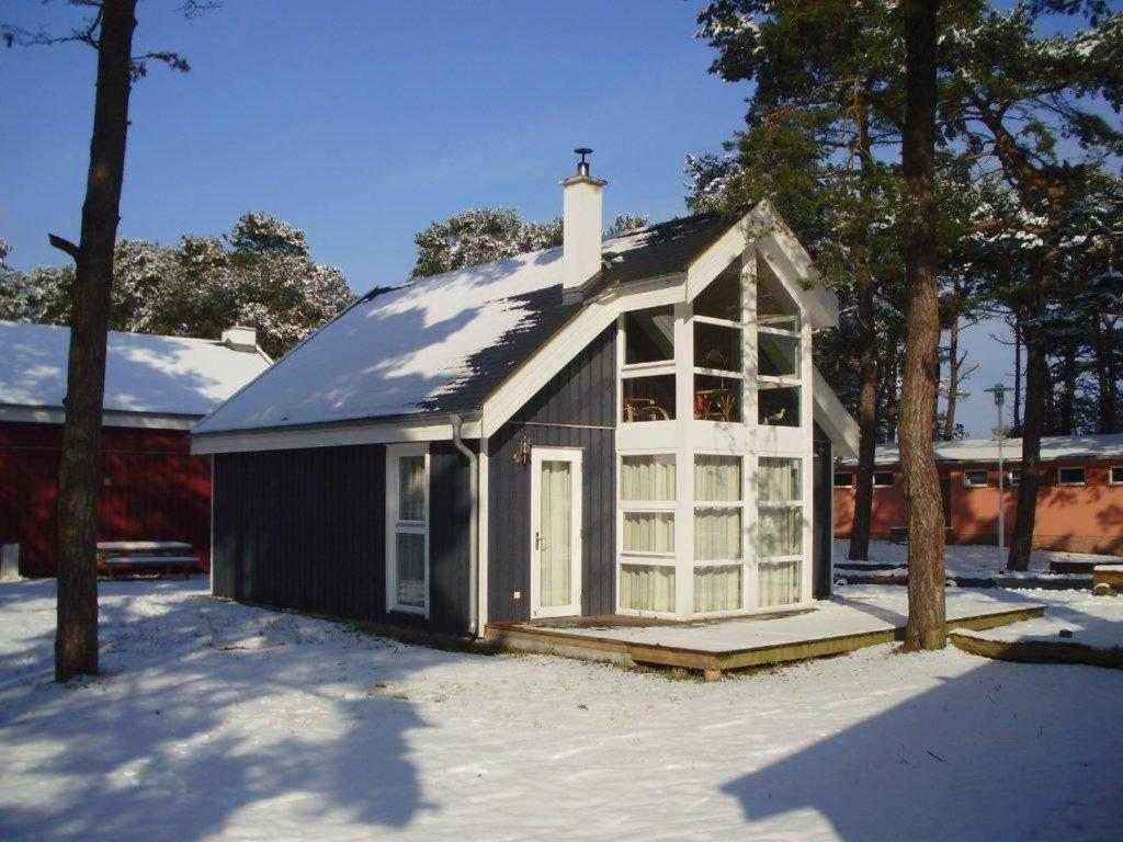 Ostsee Strandhaus Seerobbe