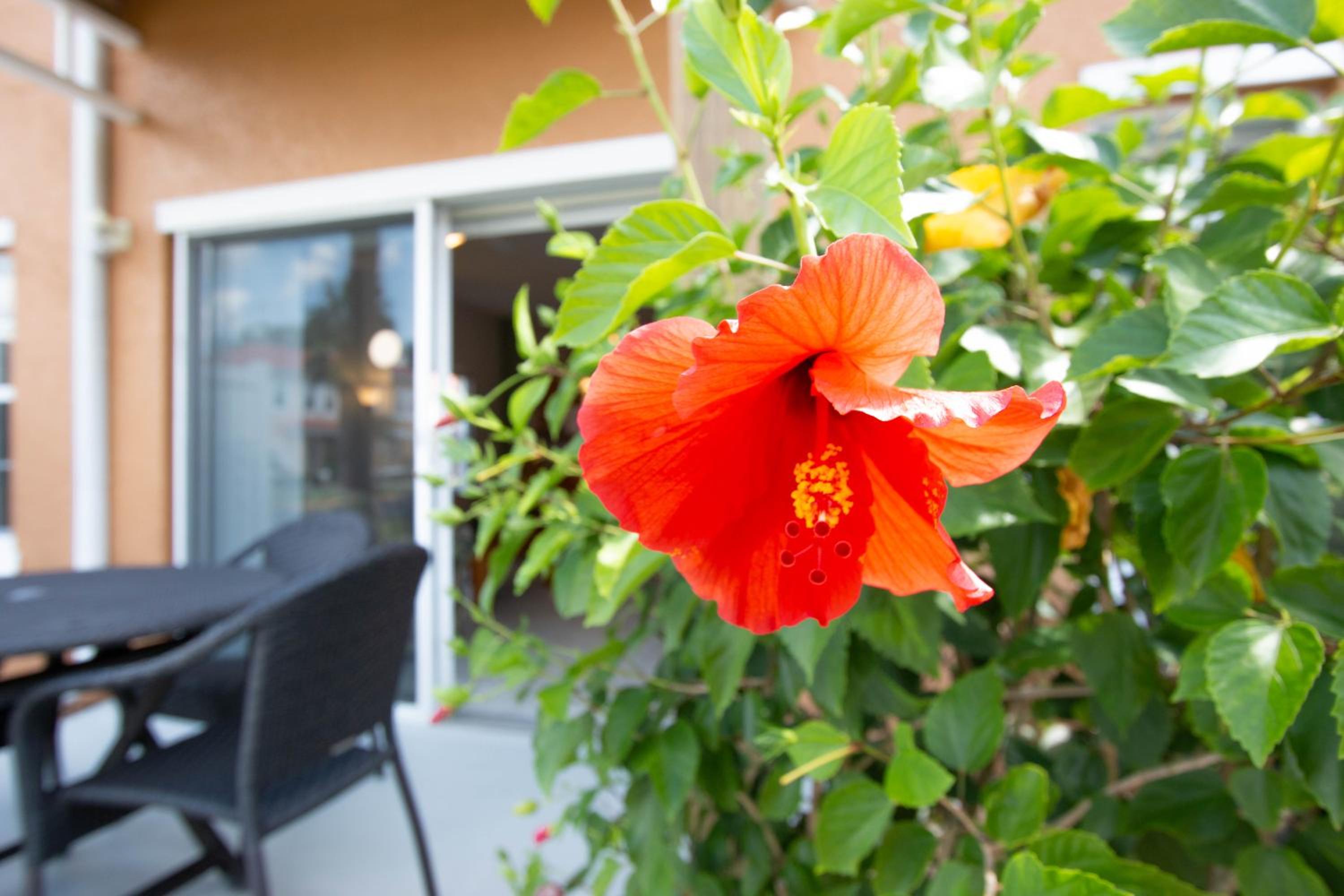 Berkley Lake Townhomes, Foto 37