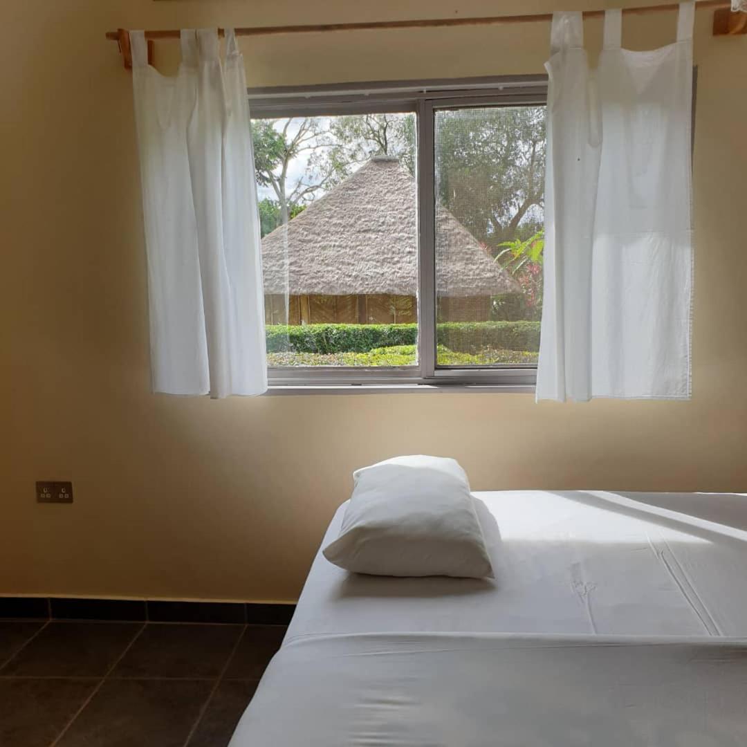 Bushbaby Lodge
