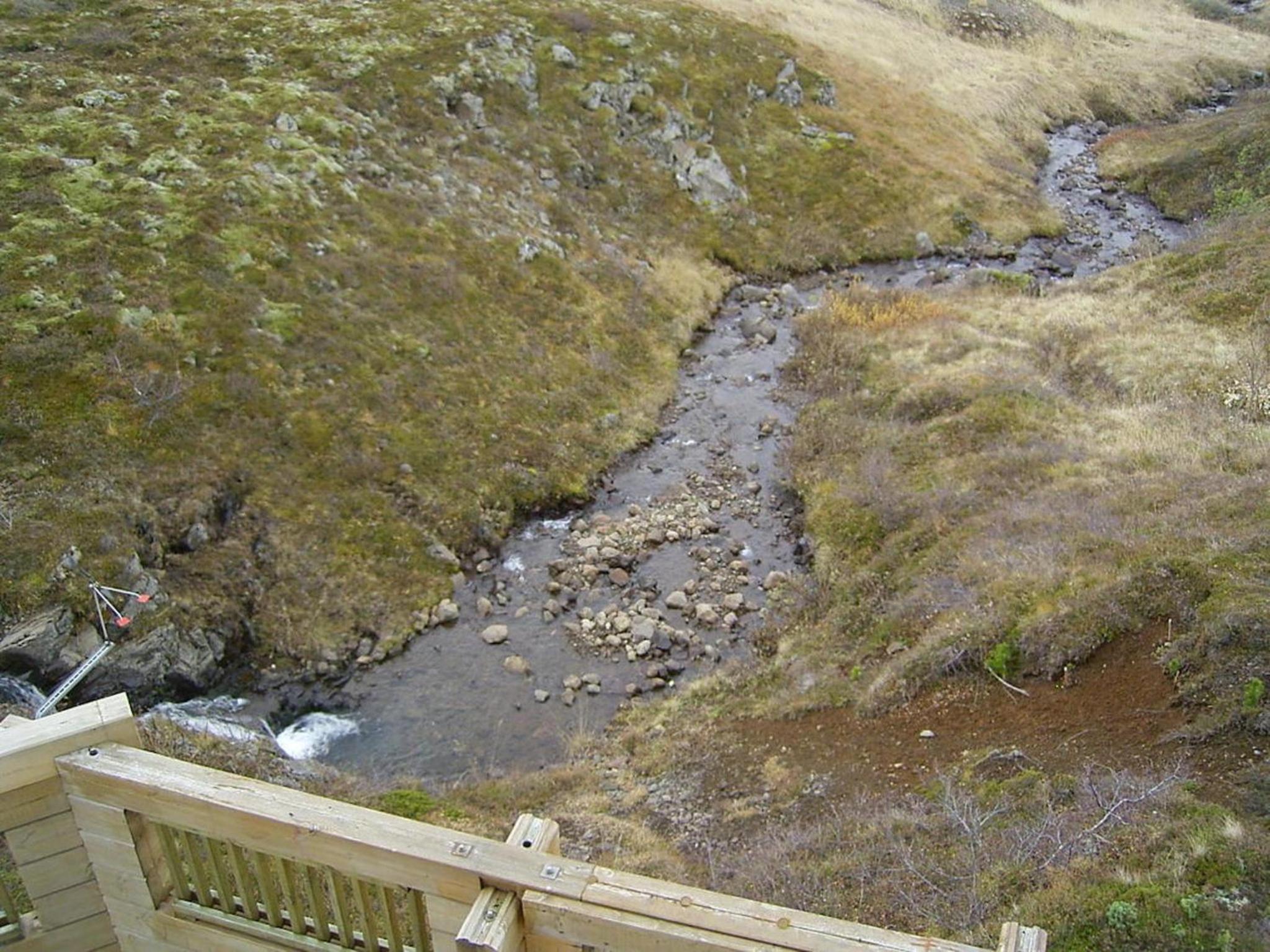 Photo 41