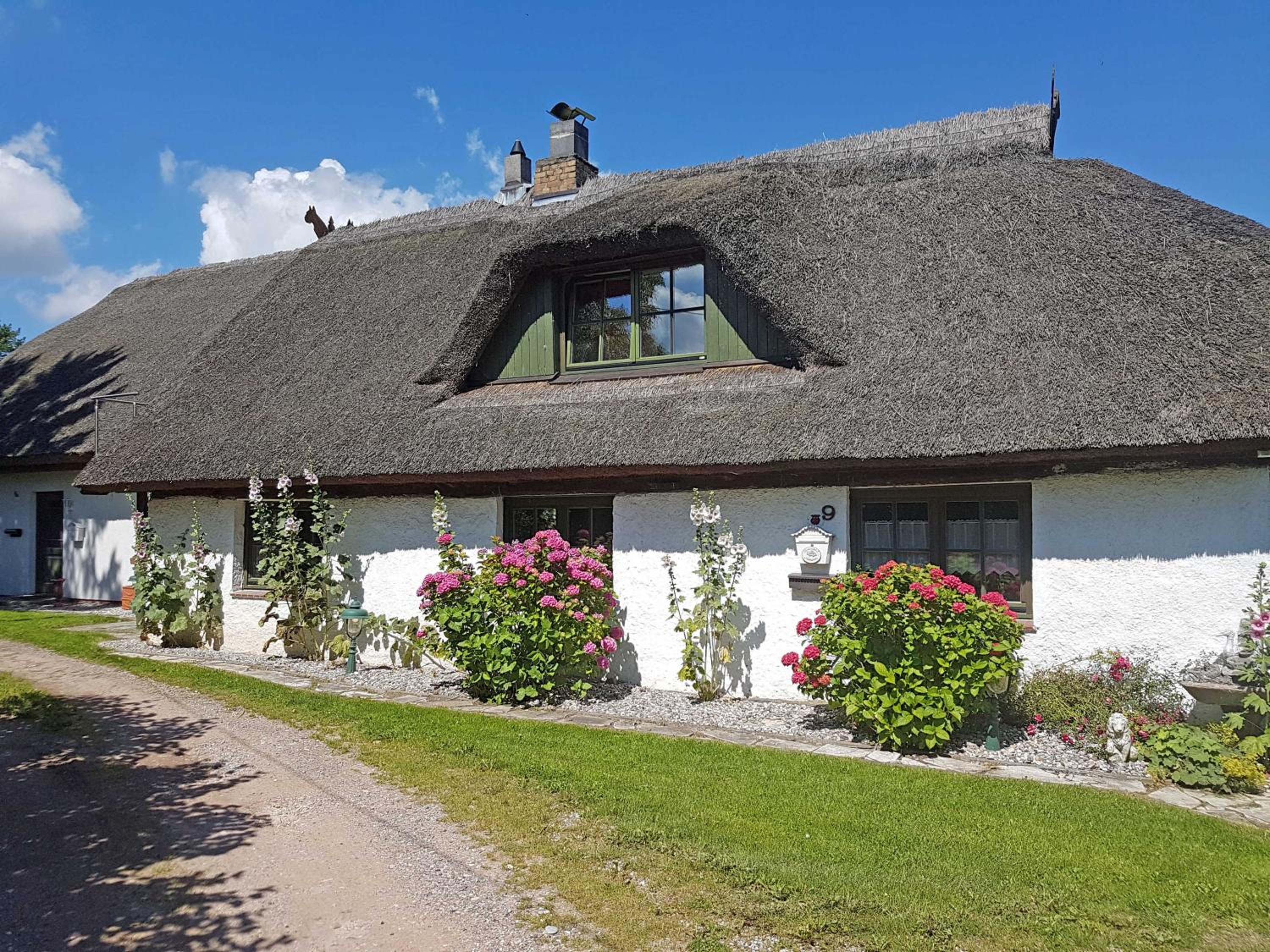 Ferienhaus und _wohnung unterm Ree view 2