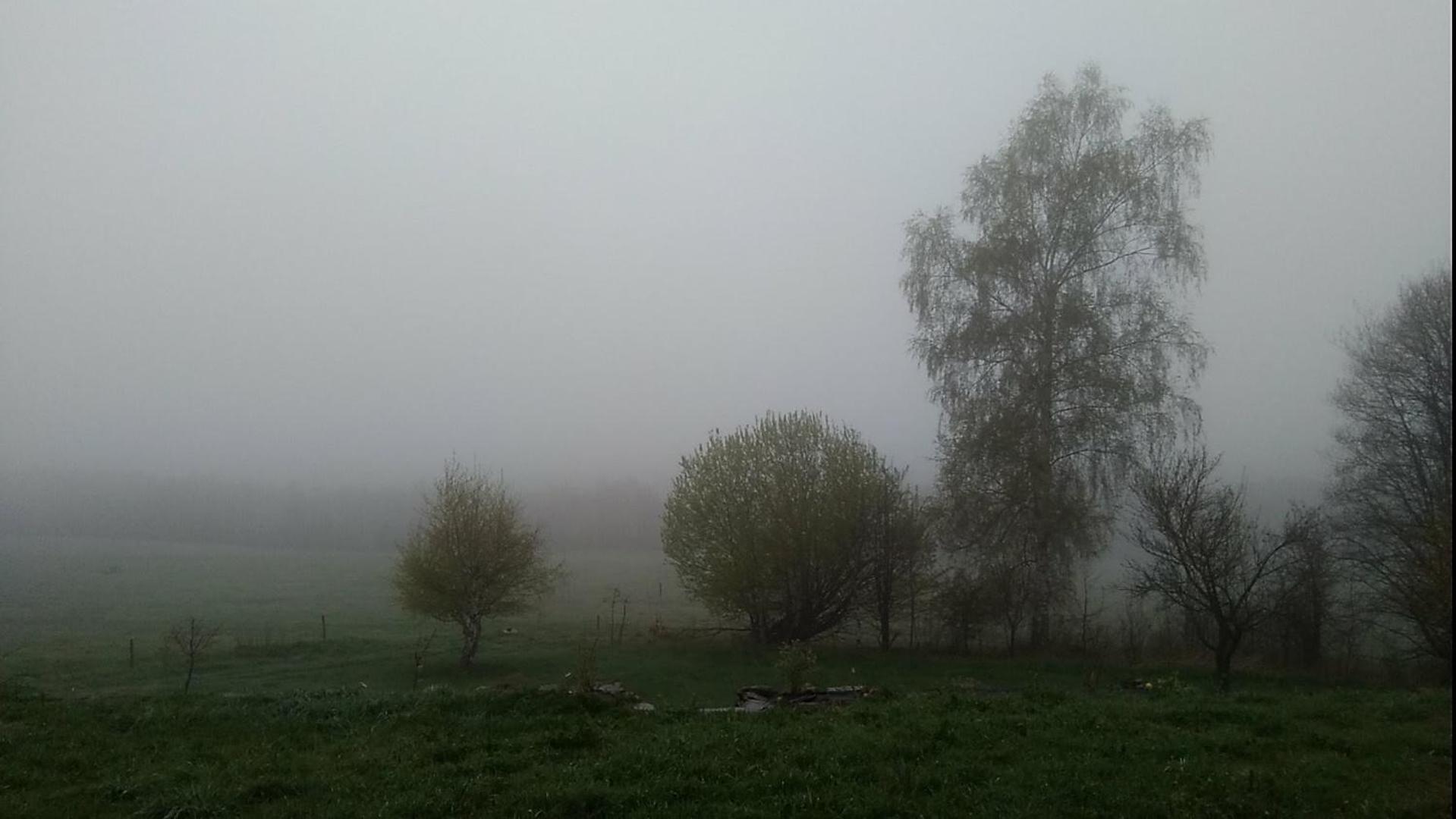 Novohradský ráj aneb Oáza klidu na samotě u lesa