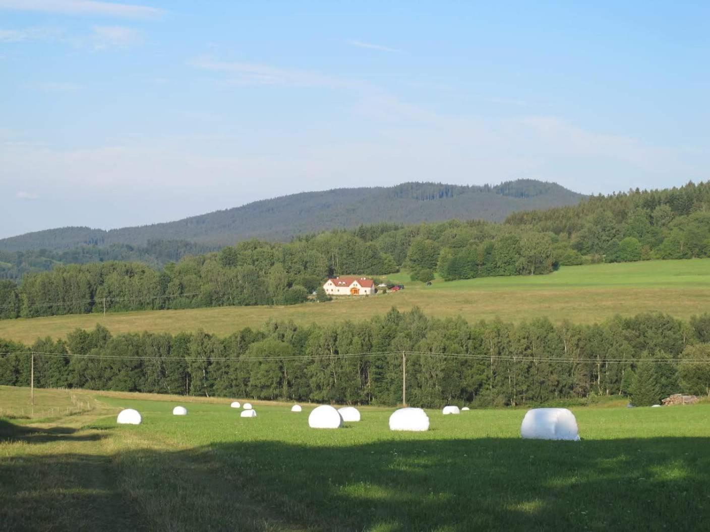 Novohradský ráj aneb Oáza klidu na samotě u lesa