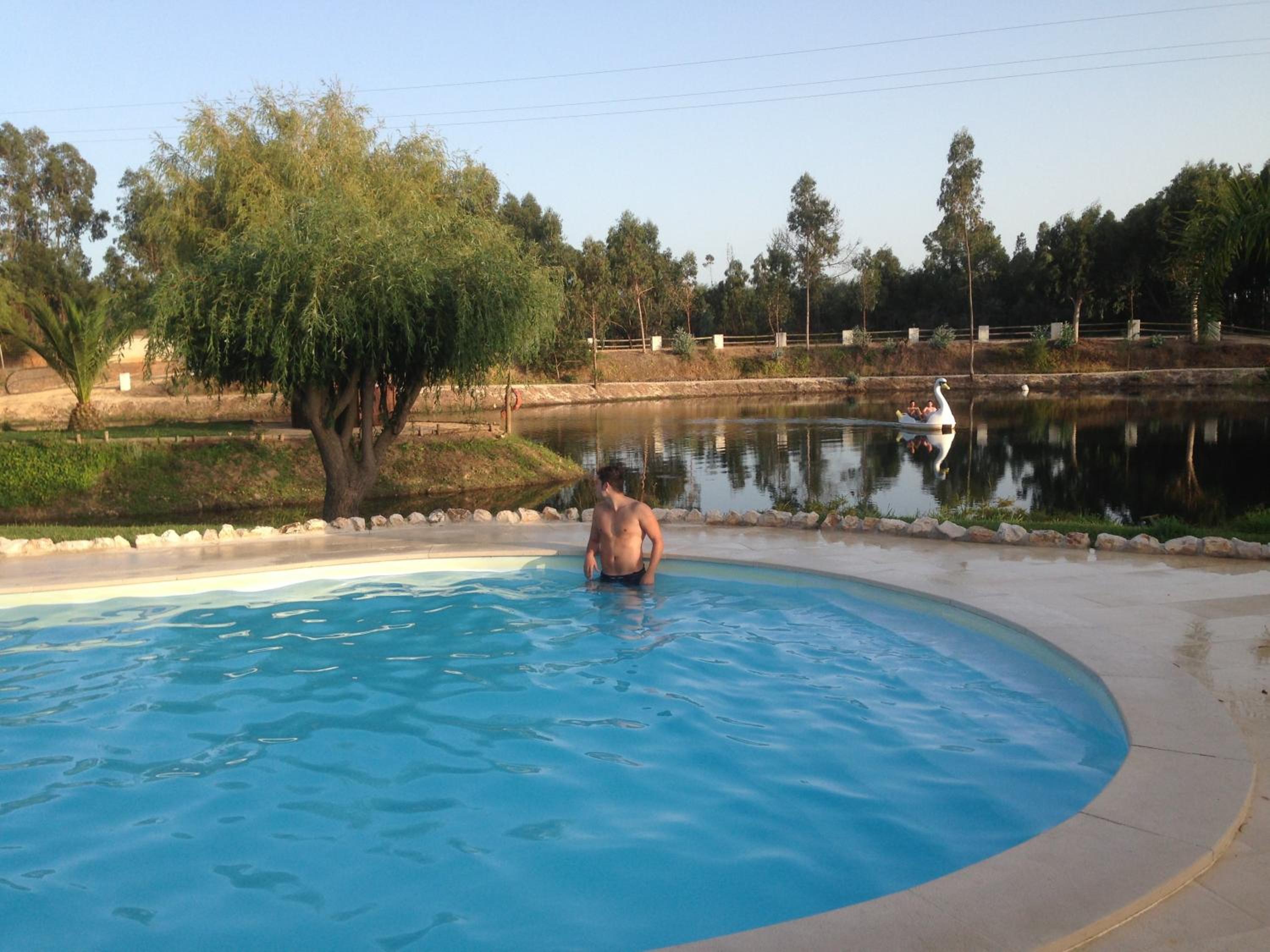 Photo 61