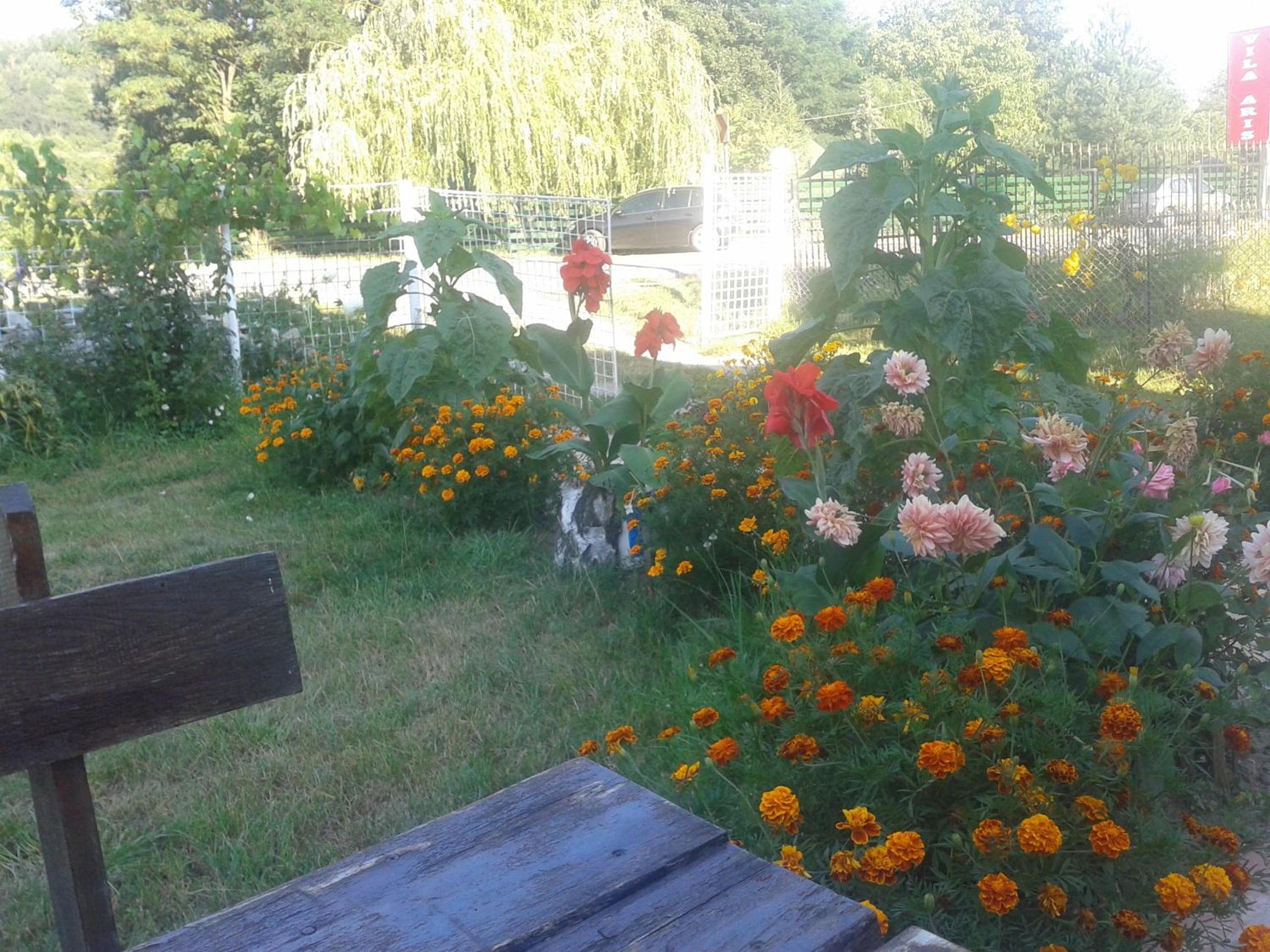 Photo 27