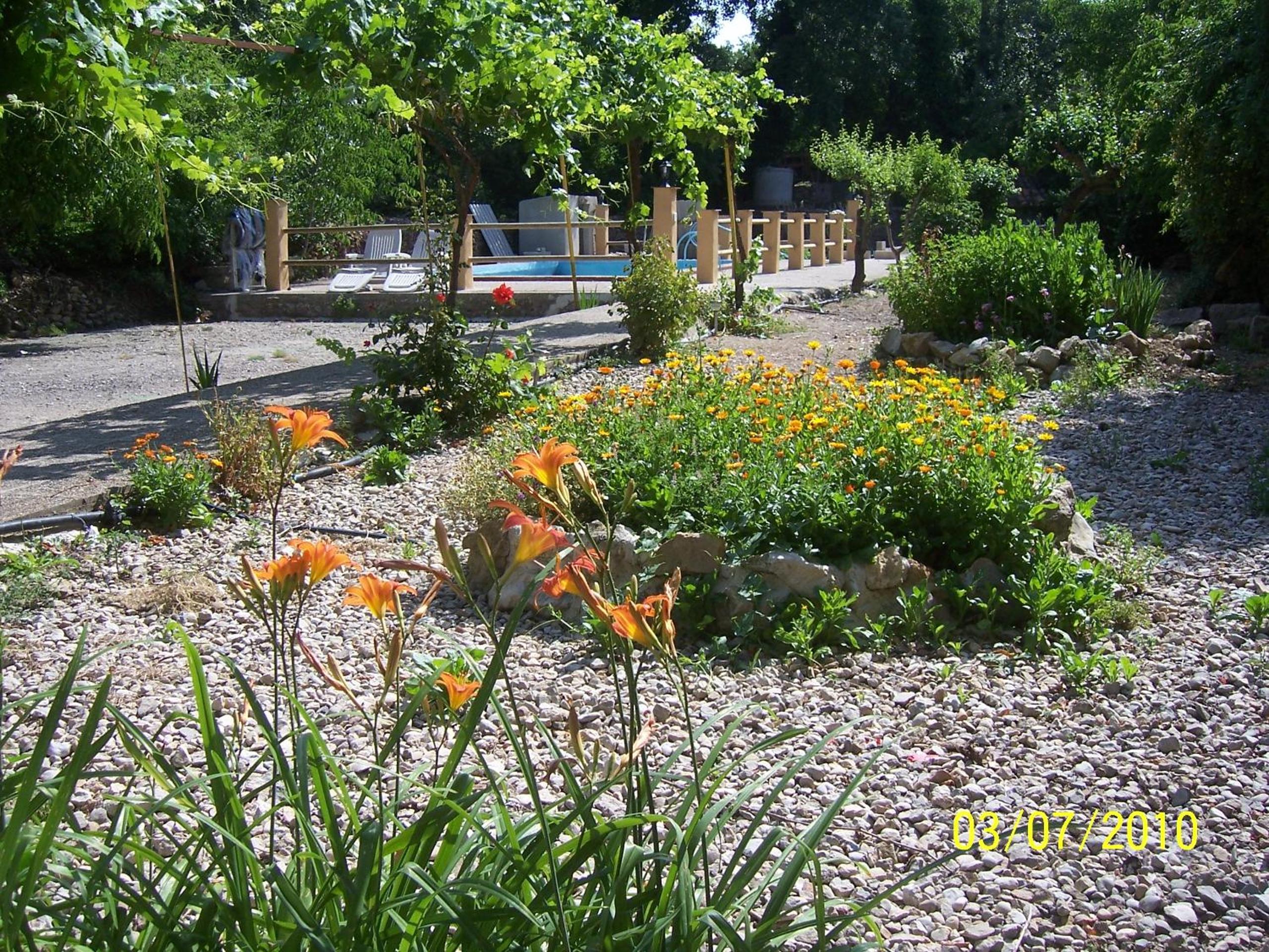 Photo 21