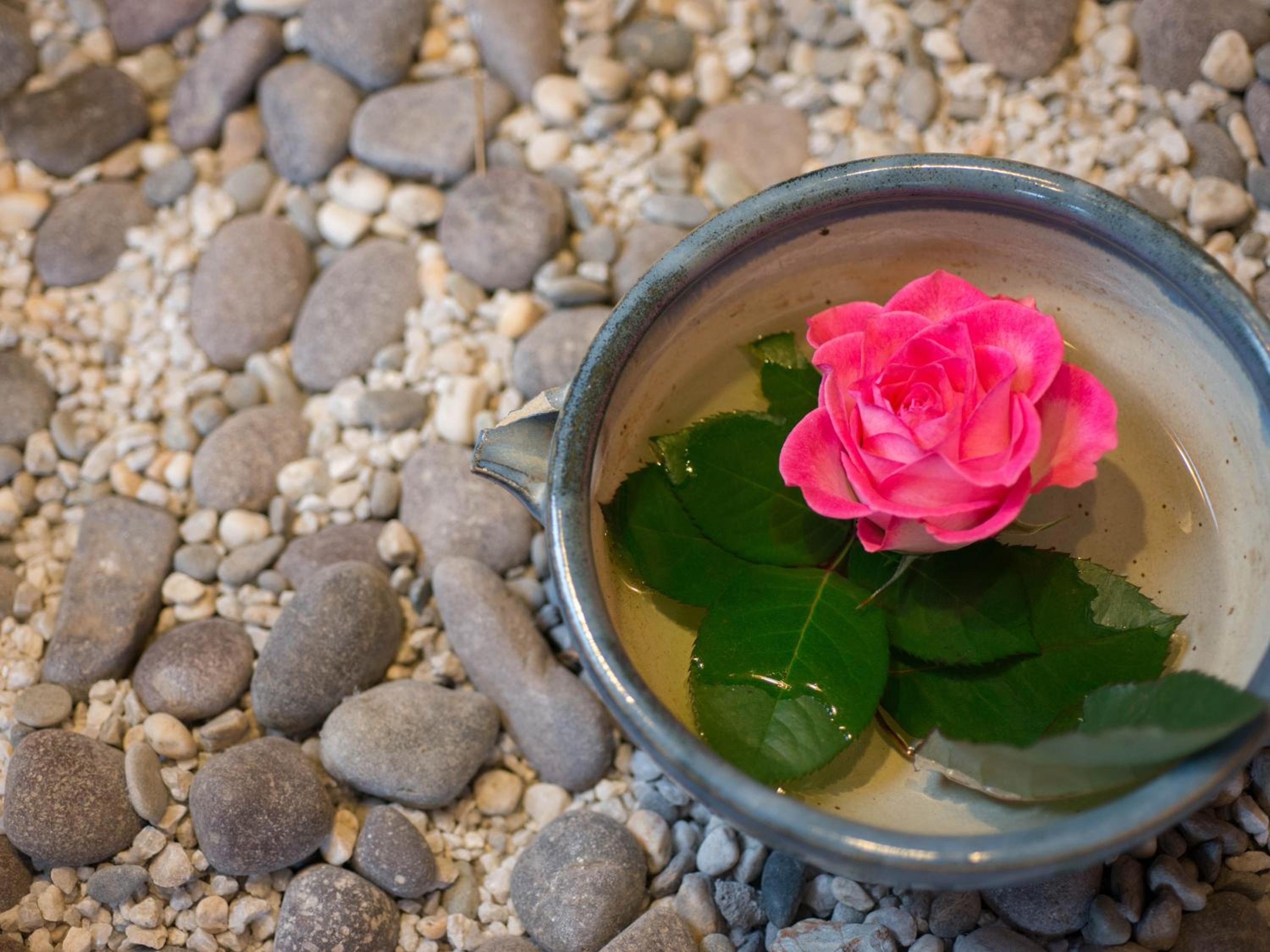 Kappo Ryokan Shiroyama