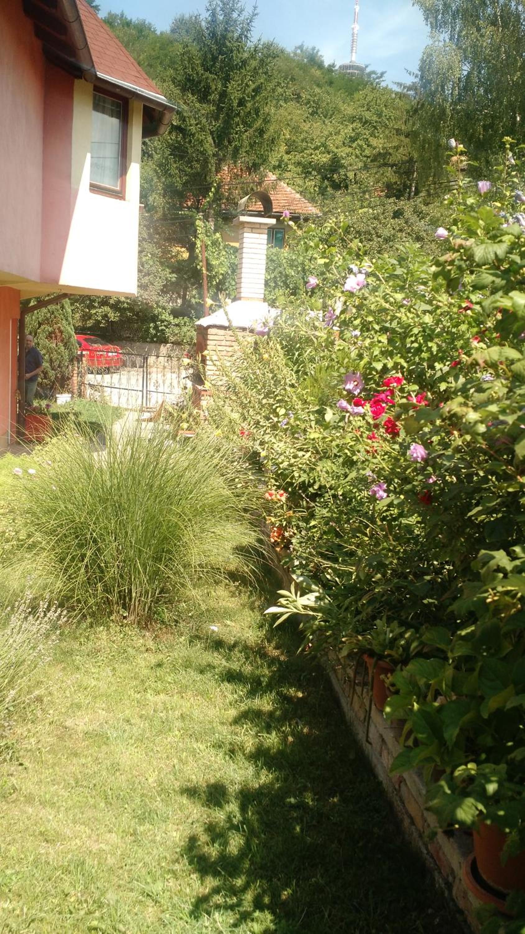 Apartman House Annesa