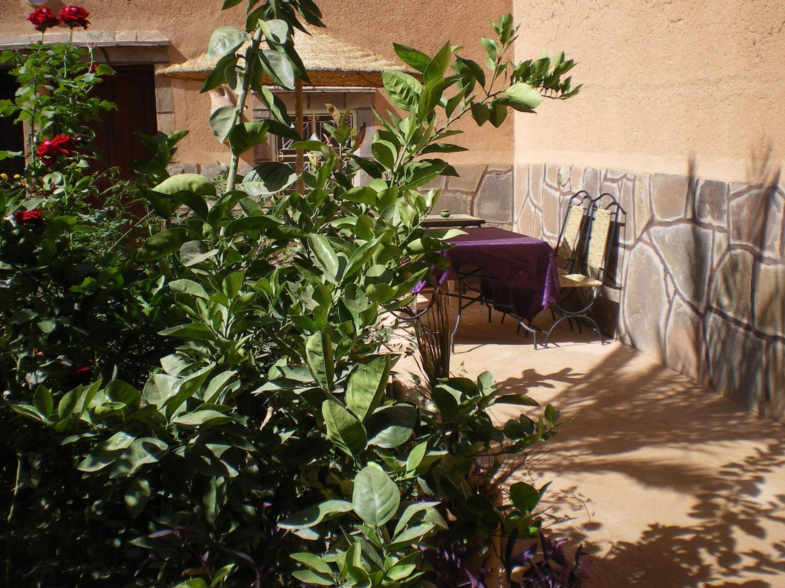 Maison D' hôtes Ait Hmid view 2