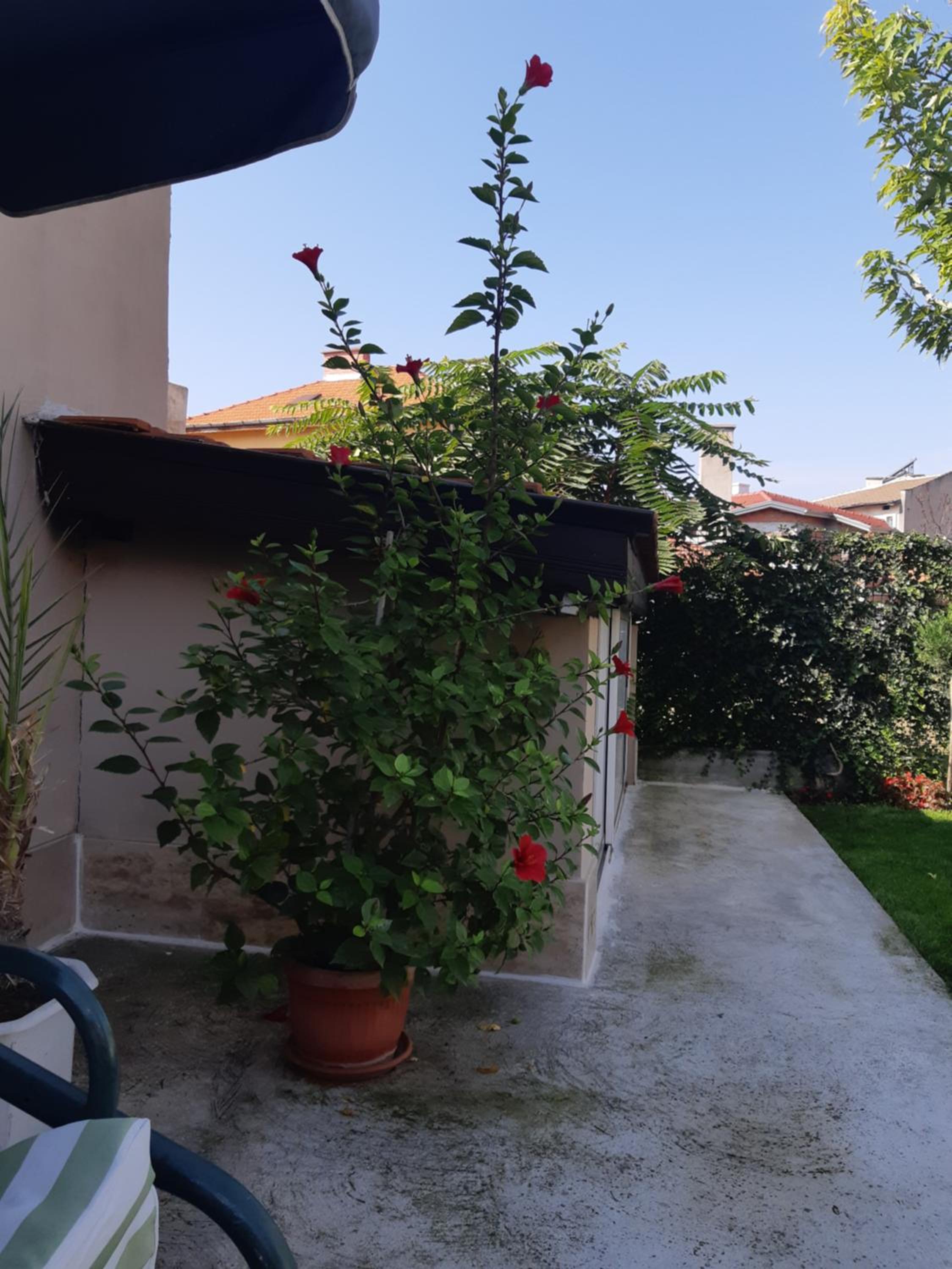 Villa Ros Guest House