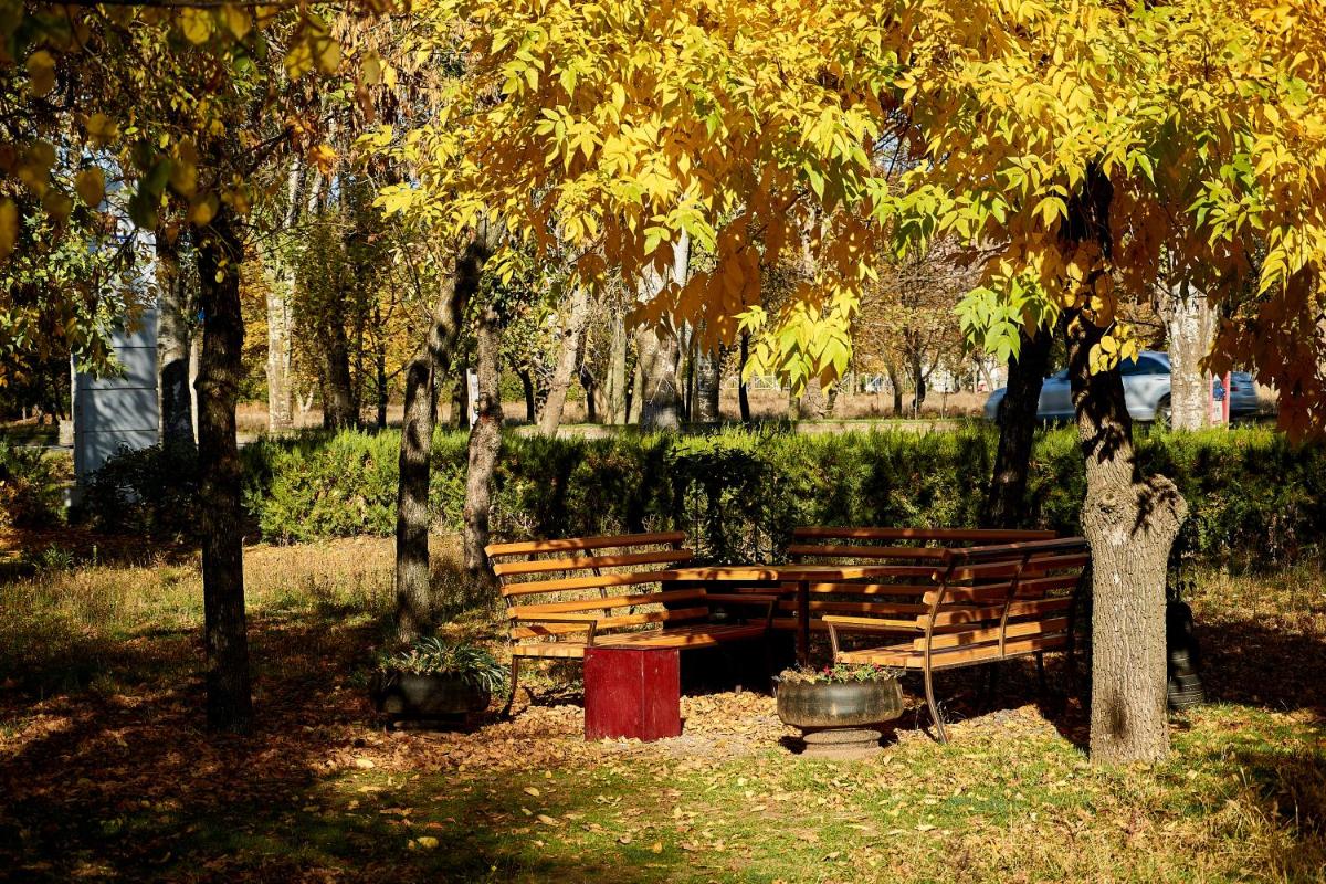children's play area