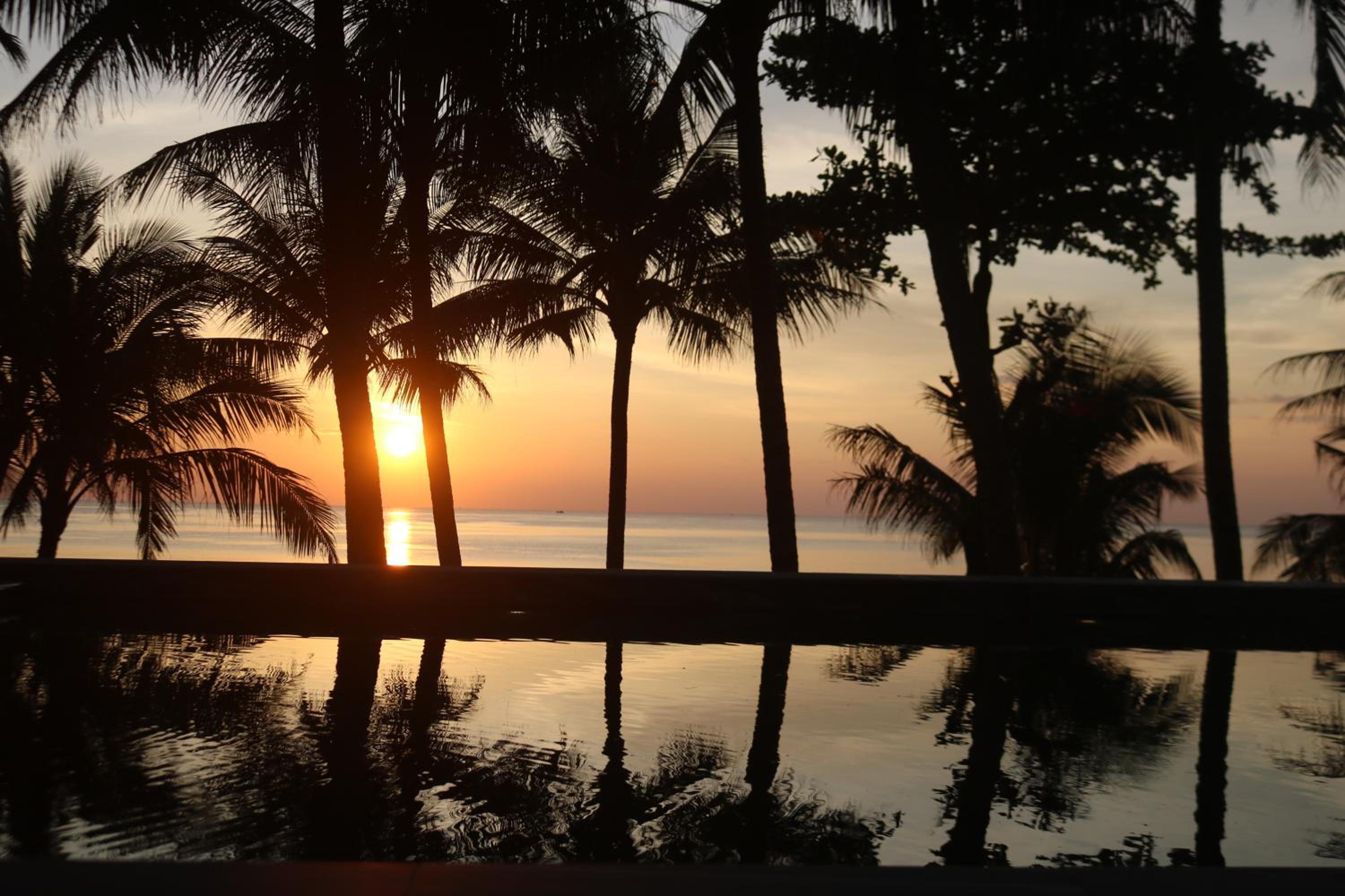 Vida Loca Sunset Beach Resort, photo 145