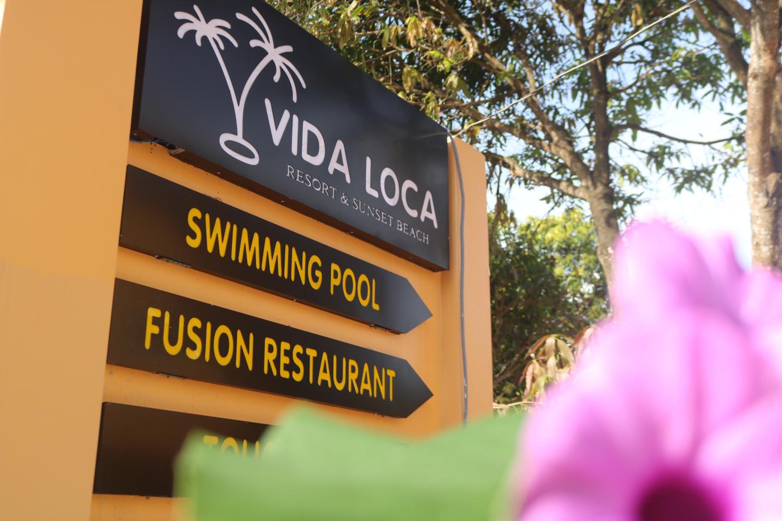 Vida Loca Sunset Beach Resort, photo 149