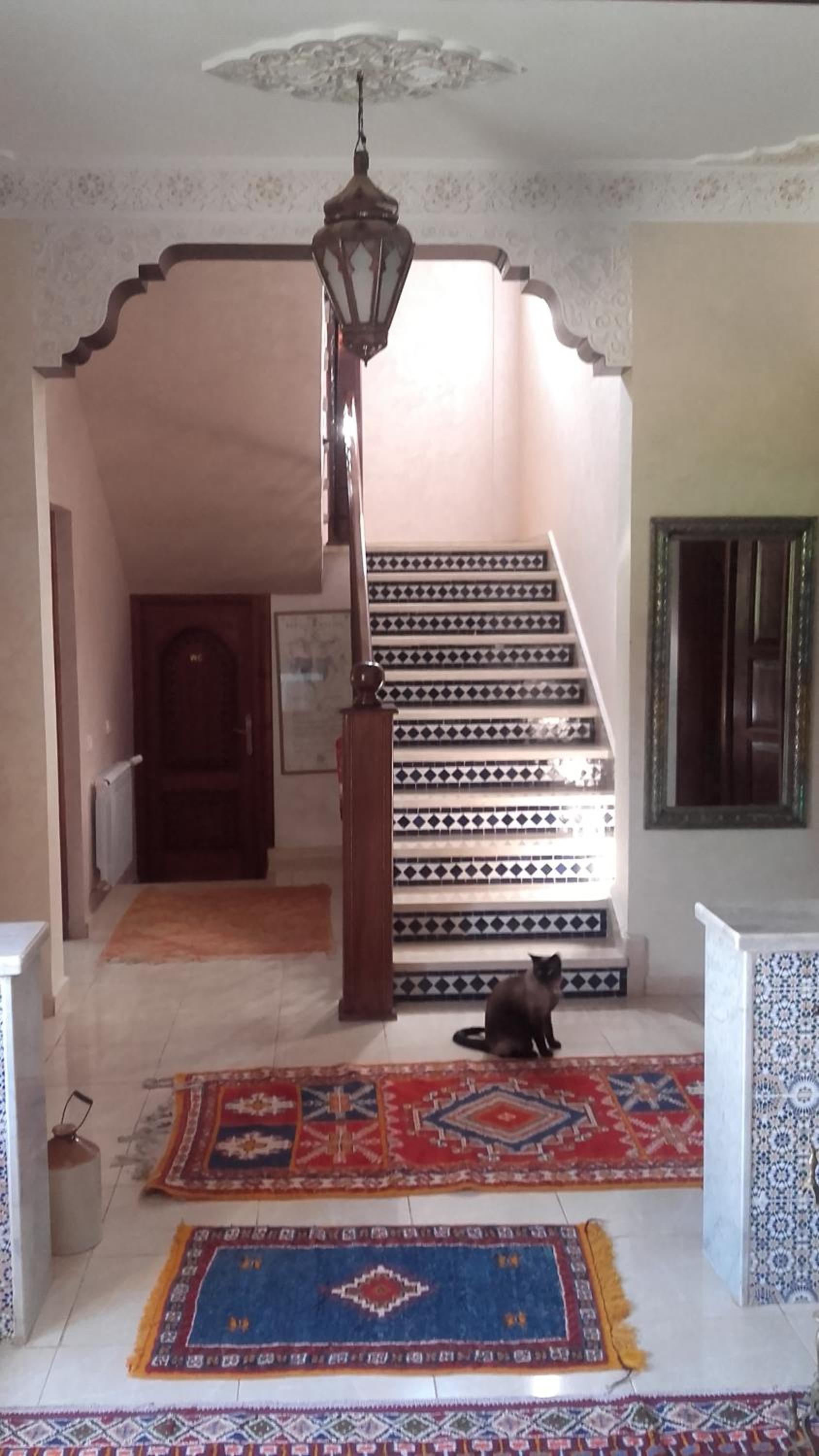 Riad TANJIL photo 36 of 57