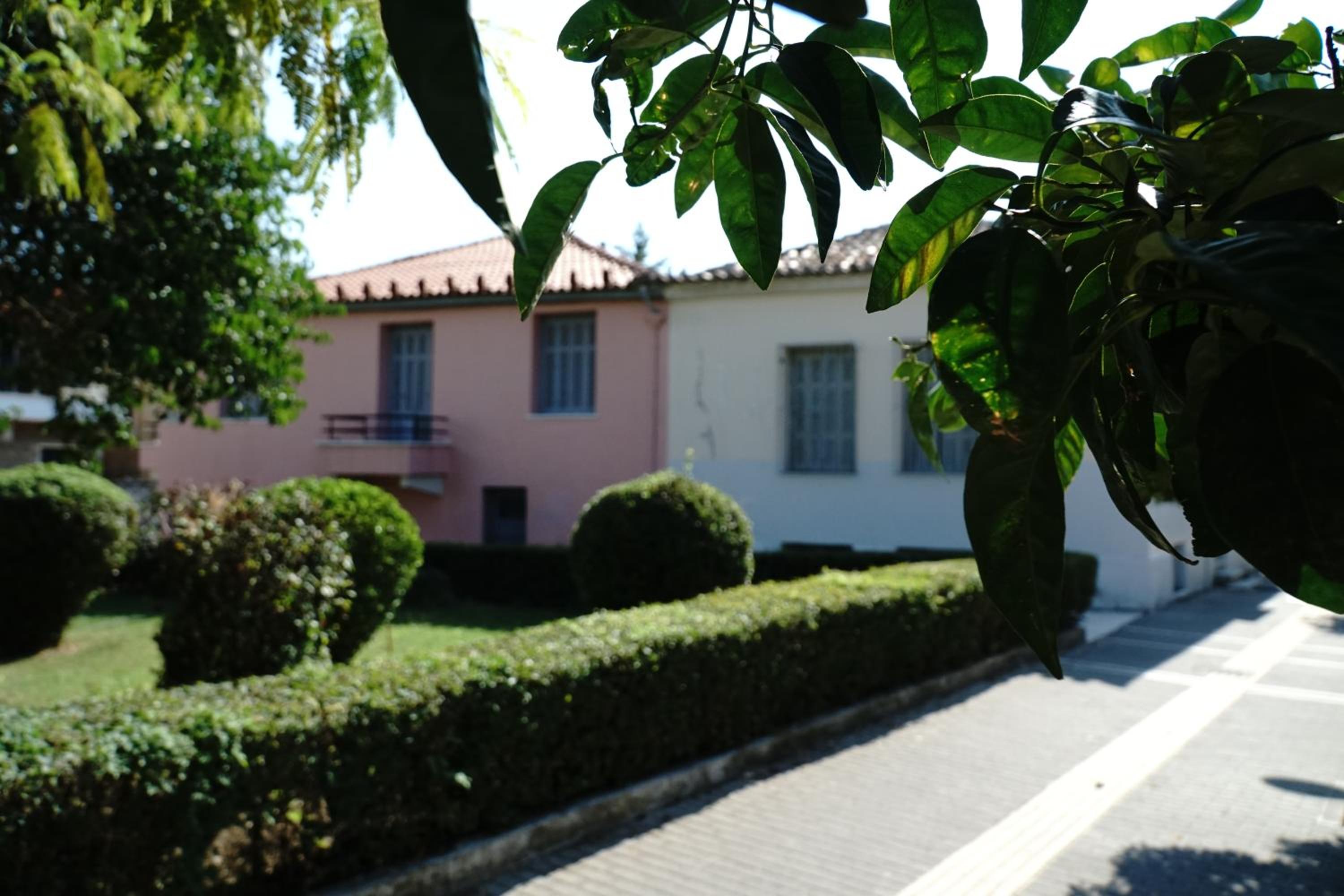 Photo 19