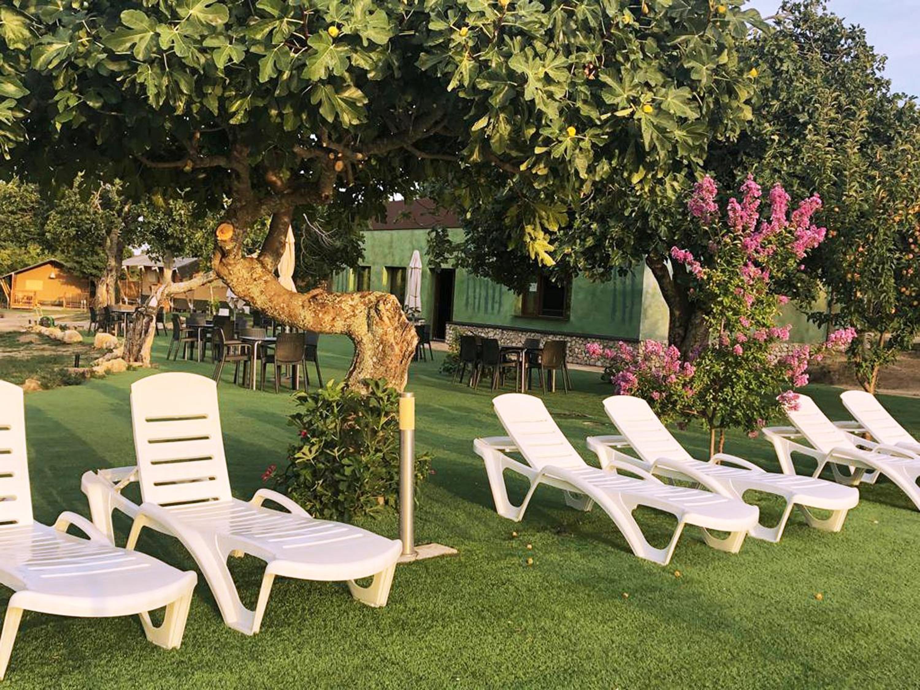 Veragua. Glamping y Apartamentos turísticos view 2