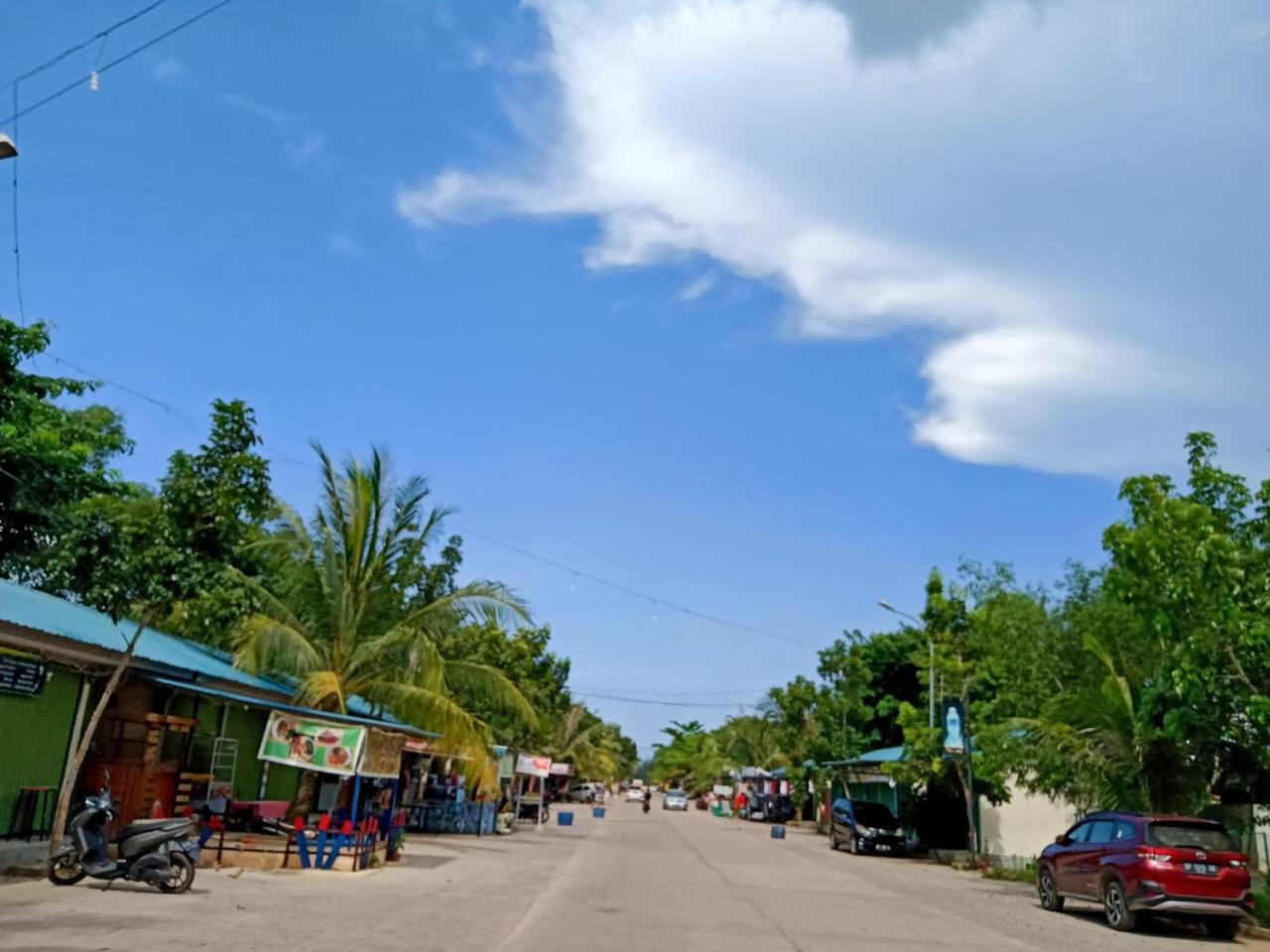 Photo 49