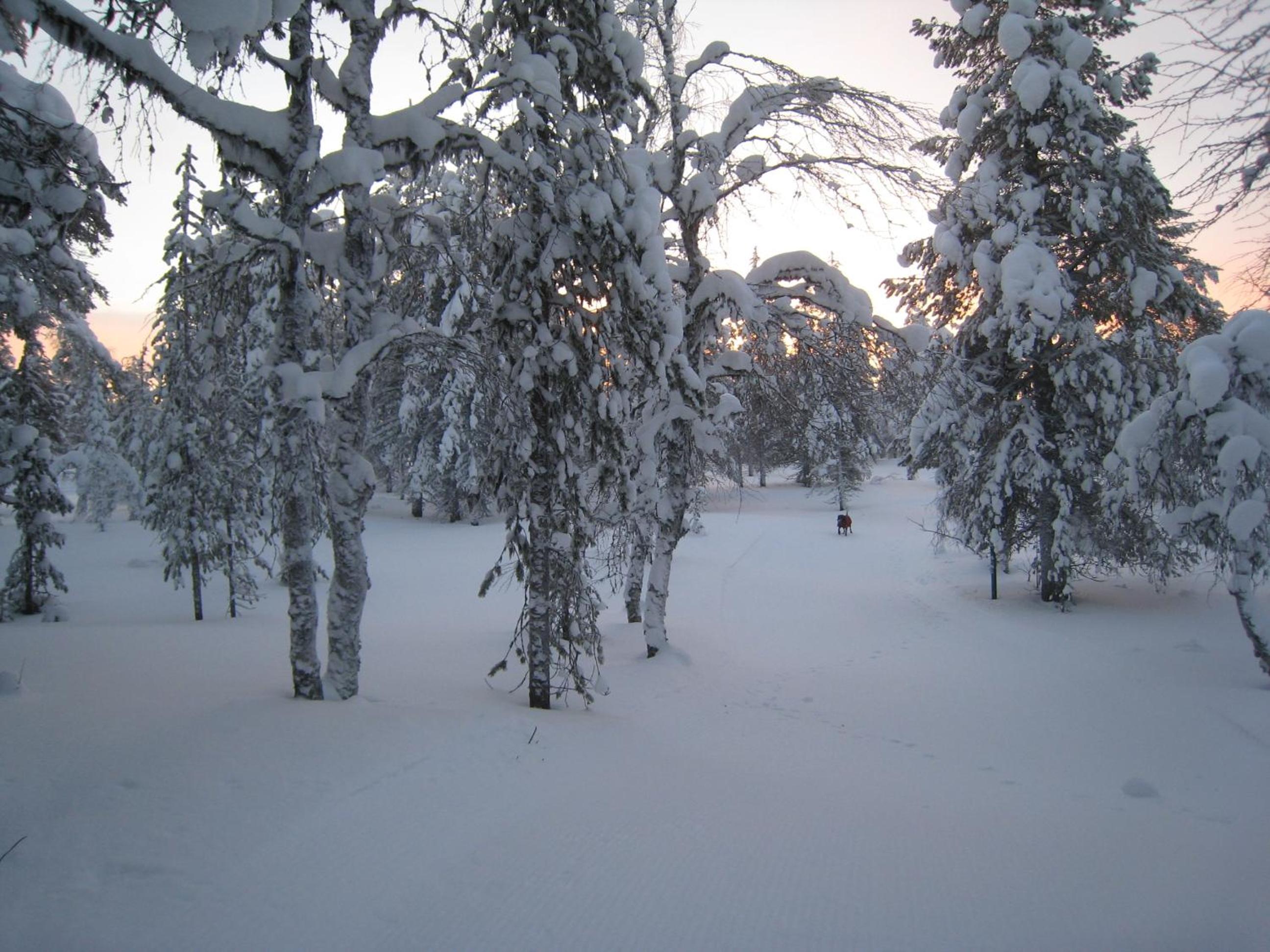 Photo 42