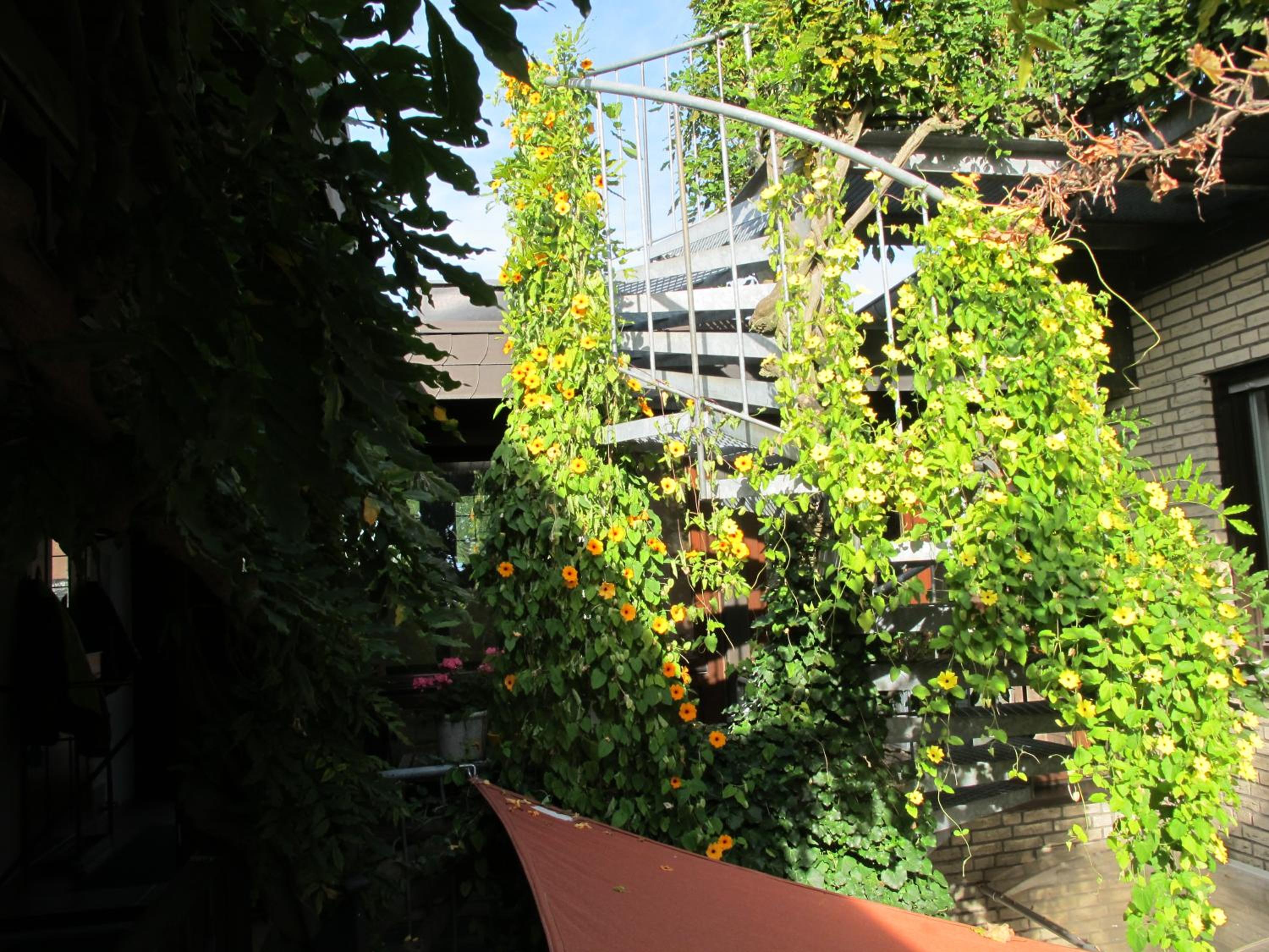 Pension Geva view 2