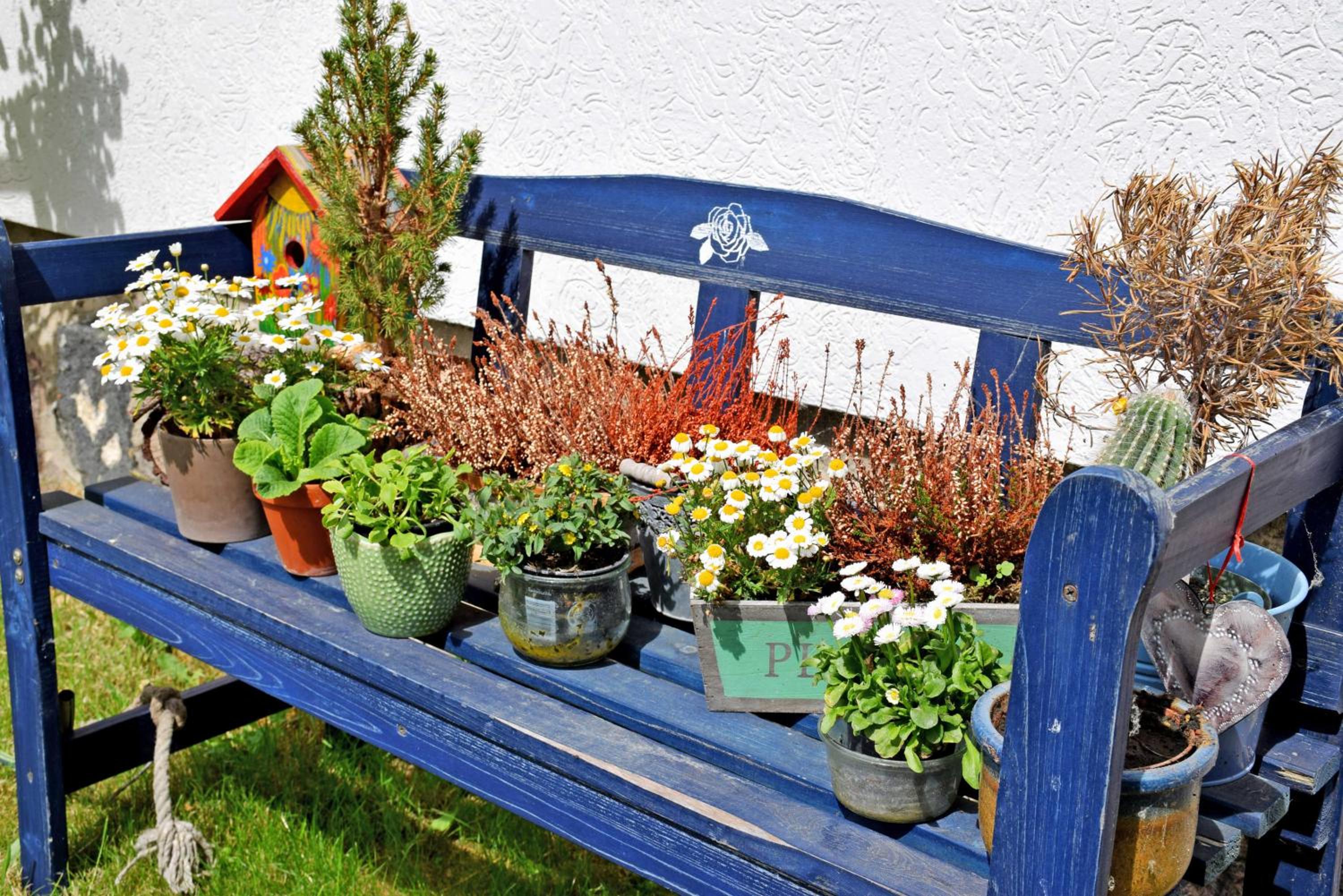 Ferienwohnungen Familie Looks view 4